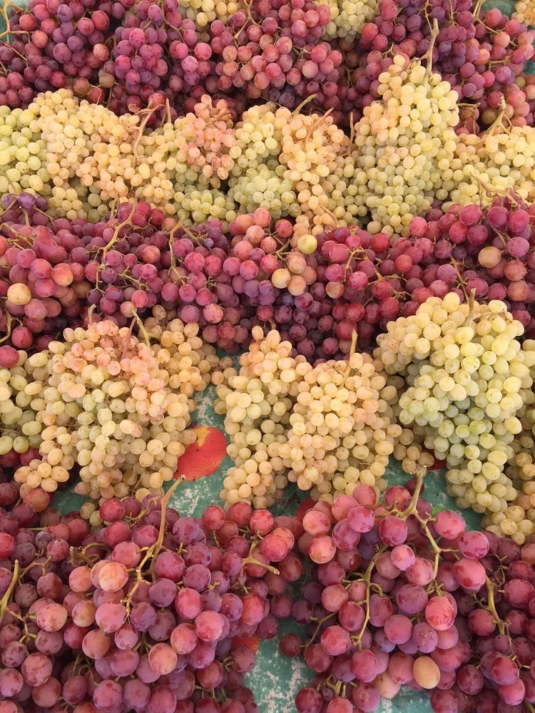 grapes.jpg