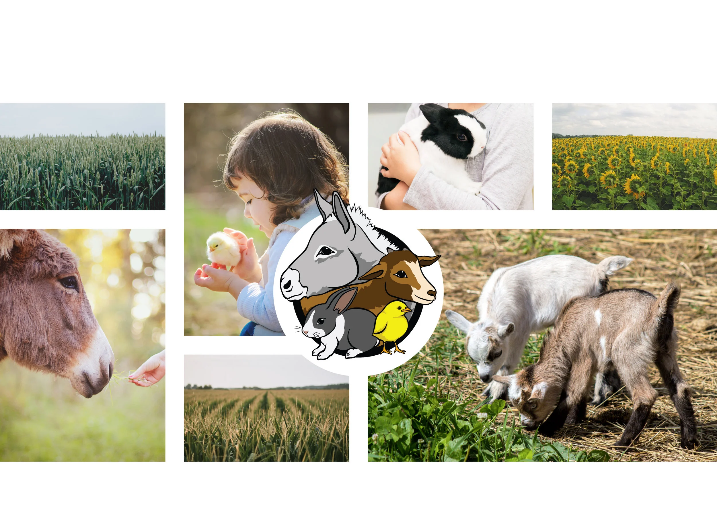 Petting Zoo &amp; Halloween haunts at the Temescal Farmers' Market