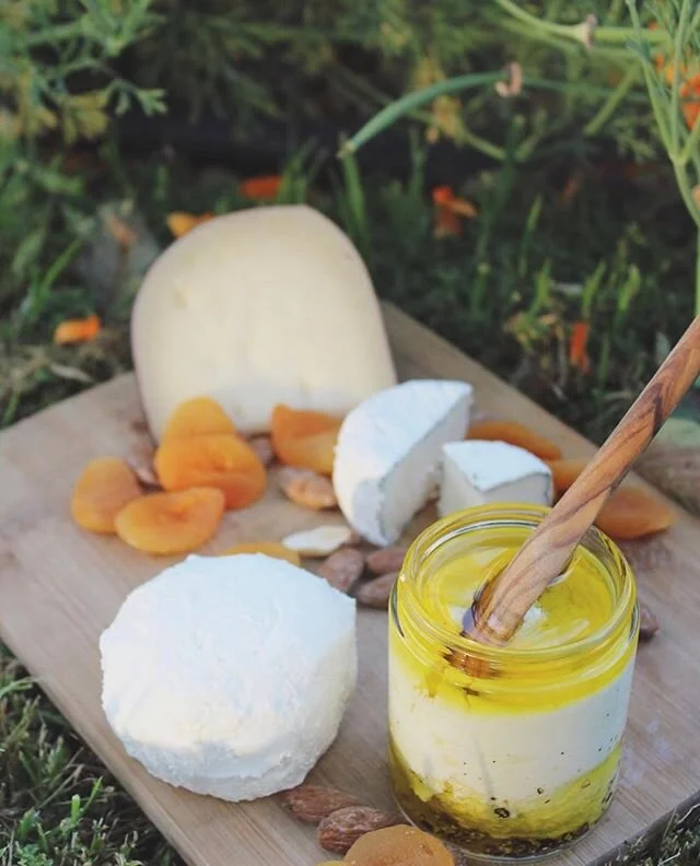 If you East Bay folks are looking for a safe, easy way to get your essential food items this weekend, why not try out a custom Village CSA Box? Locally grown fruits and veggies, freshly baked breads and pastries from @starterbakery, @hhfreshfishco Ca