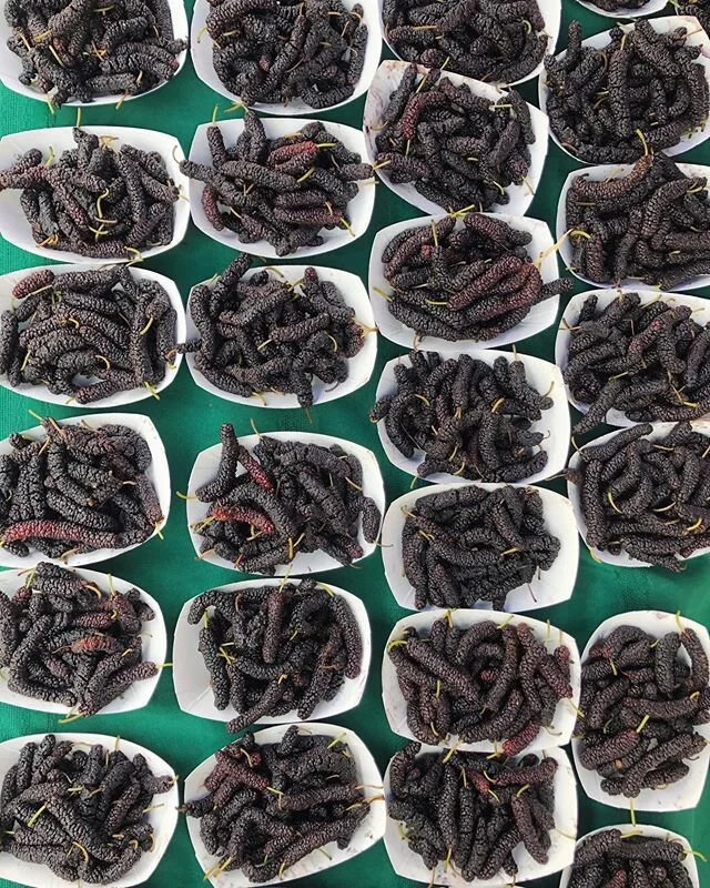 Mulberries at the Old Oakland Farmers&rsquo; Market today from MA Farm. 💜