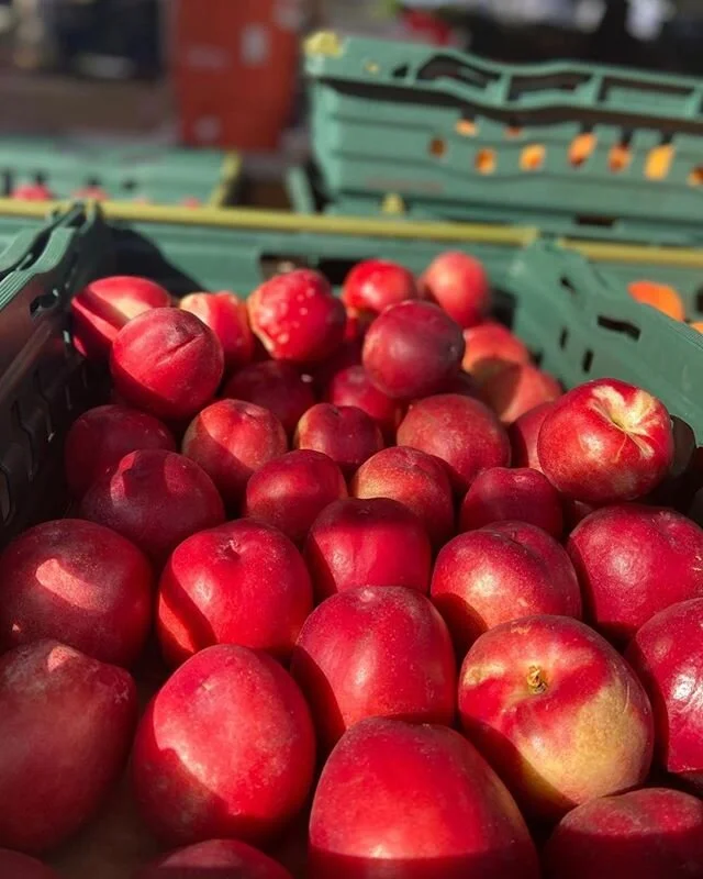 Last day to get your order in for a custom Village CSA Box to pick up at our Temescal Farmers&rsquo; Market on Sunday! New offerings this week include organic stone fruit from @kashiwasefarms and @blossomblufforchard! 🍑 Place your order before 11pm 