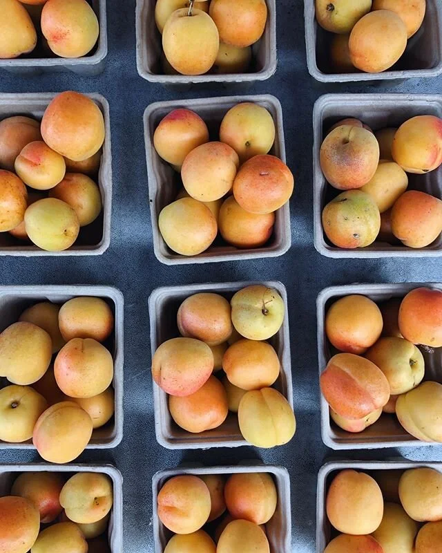 Yes, we are OPEN! Access and equity are at the heart of our organization that works to feed everyone. We will continue to be here to provide a source for healthy food to the beautiful, diverse community that is Oakland! #farmersmarketsareessential #b