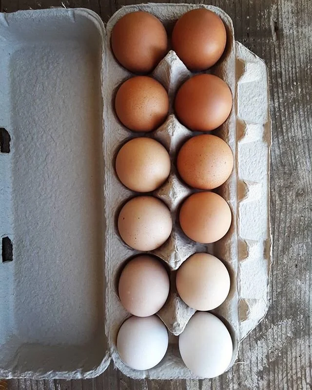 &ldquo;We all deserve to be in the same box.&rdquo; #repost from @handsfullfarm ✊🏿✊🏾✊🏽✊🏼✊🏻 #blacklivesmatter