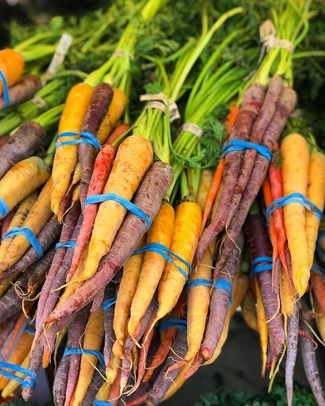 How dull would nature be if it only allowed one expression of color?