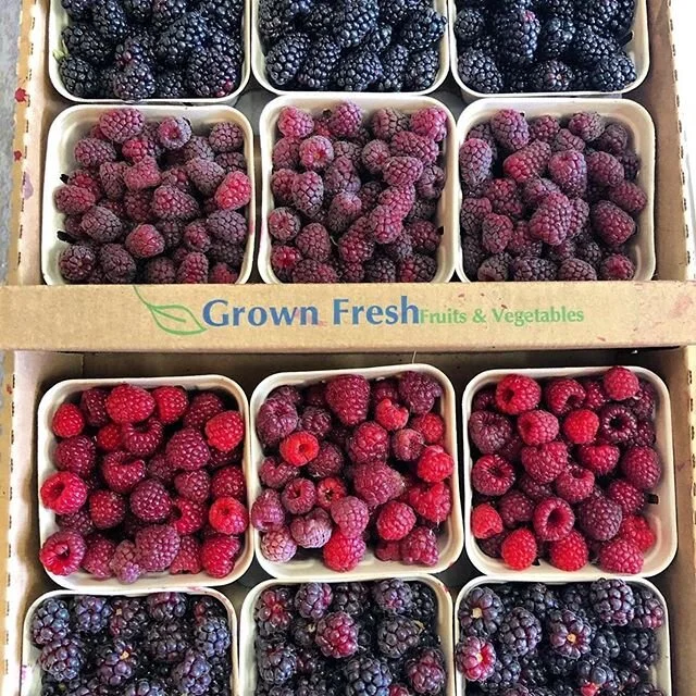 The times they are a-changing and so are the seasons! Find a bounty of berries (like these beauties from @prevedellifarms) and fresh summer produce at the farmers&rsquo; market. 🍓 #farmersmarketsareessential