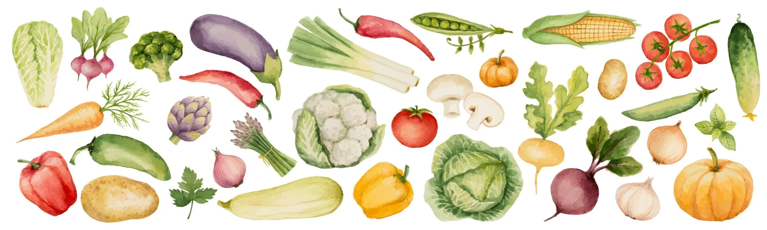 Veg-Edge+65214117_thumbnail.jpg