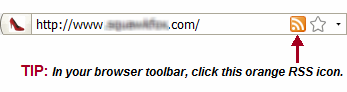 RSS Browser Icon
