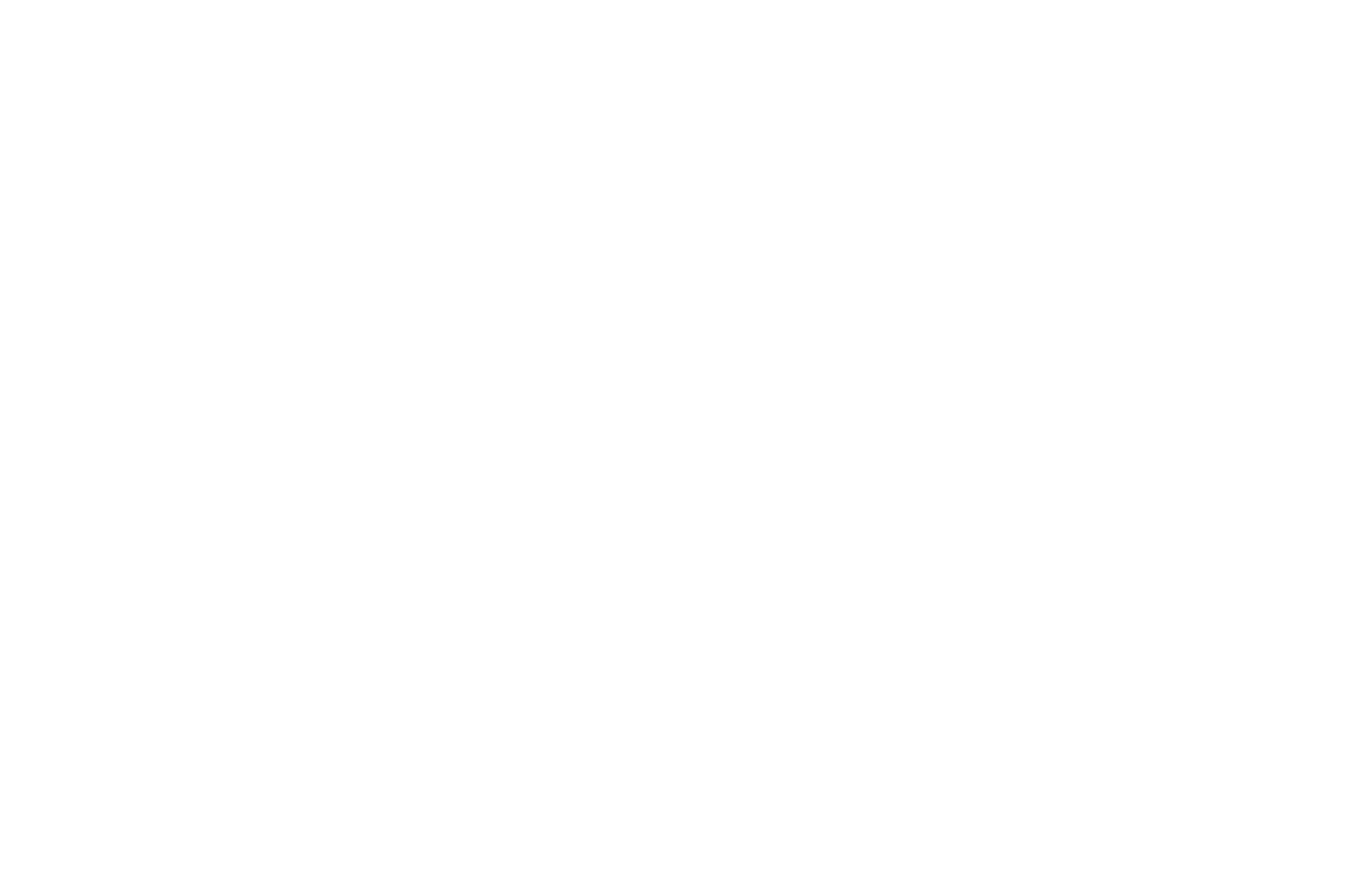 OFFICIAL SELECTION - MONTREAL INTERNATIONAL BLACK FILM FESTIVAL - 2018-2 2.png