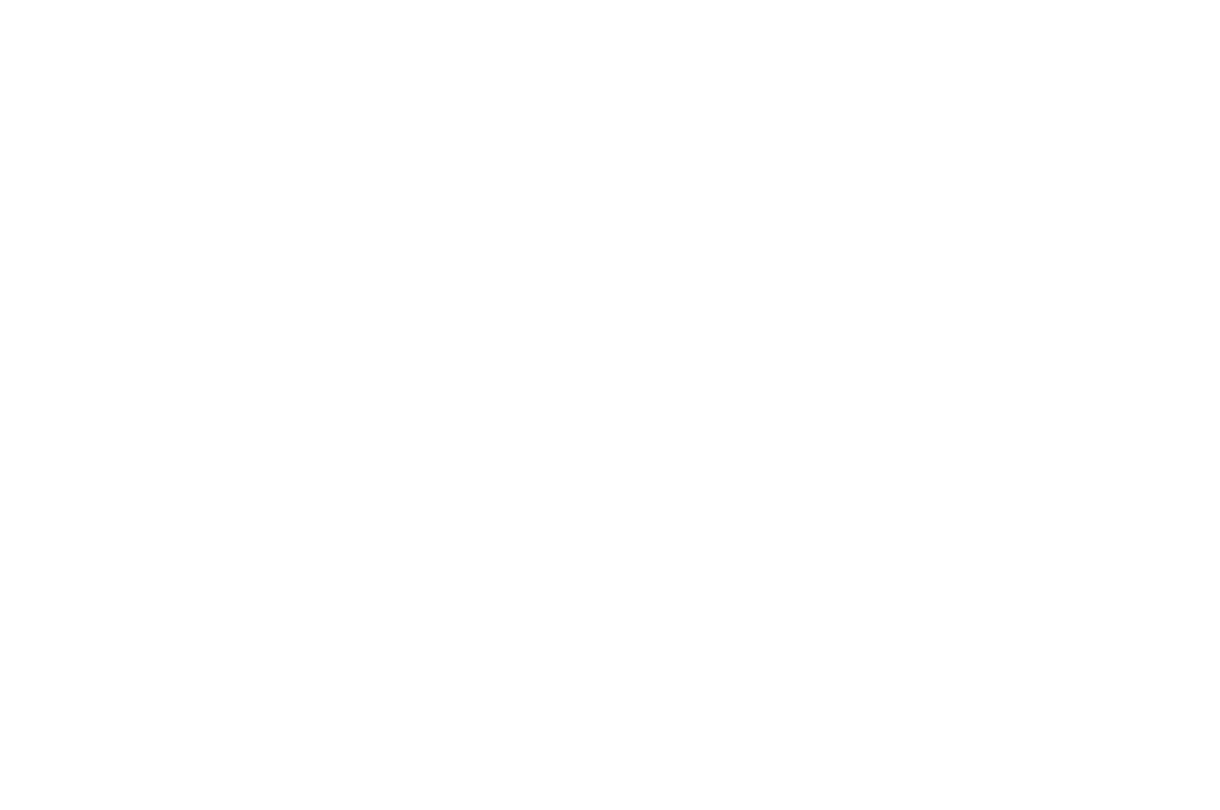 OFFICIAL SELECTION - FRONTEIRAS Mostra Internacional de Cine - 2018-2.png