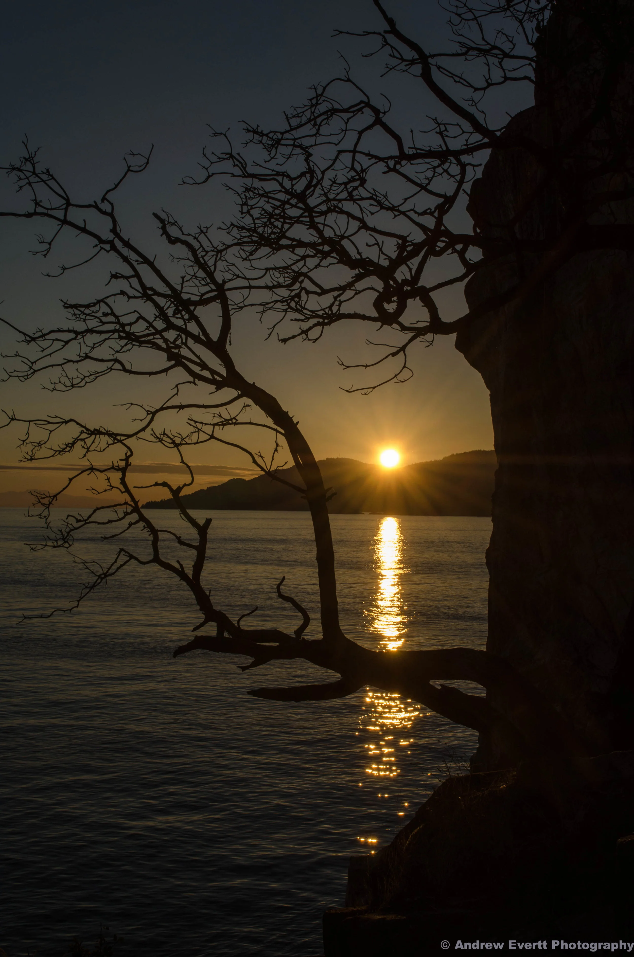 Lighthouse Park