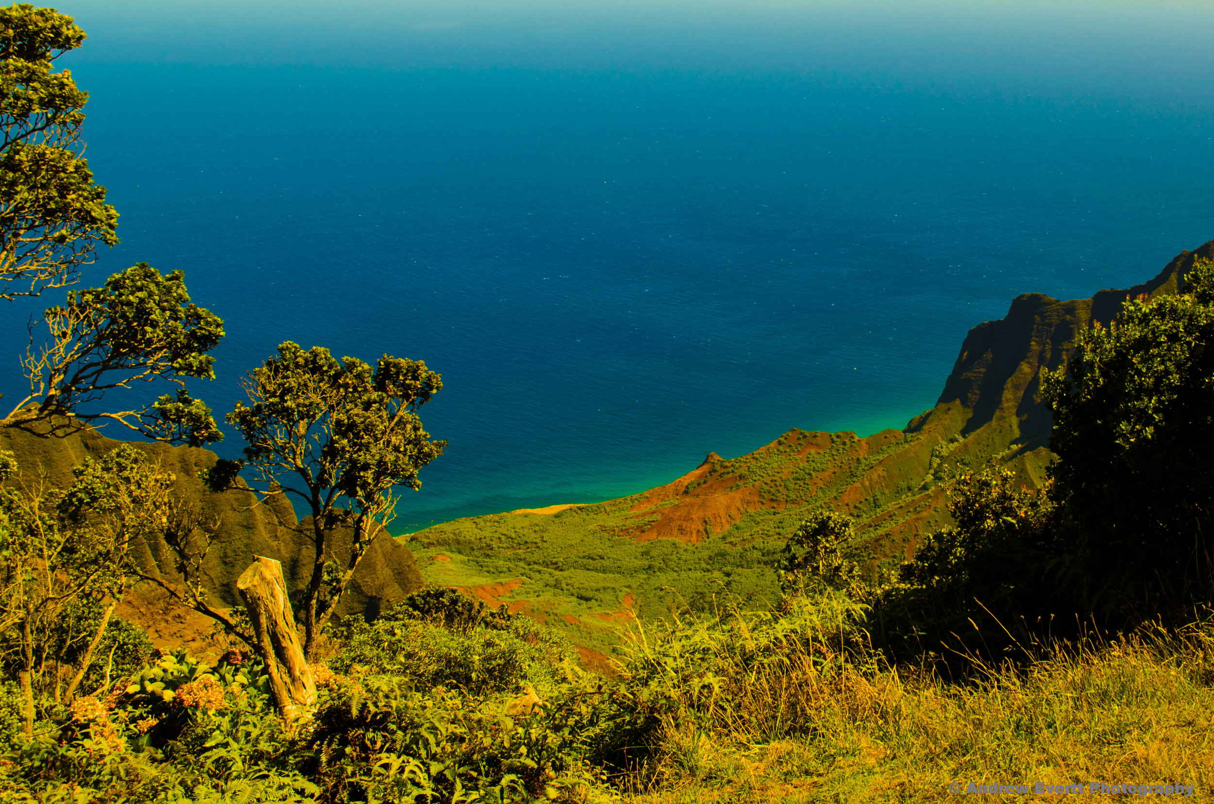 Na Pali Coast from the top of Waimea Canyon