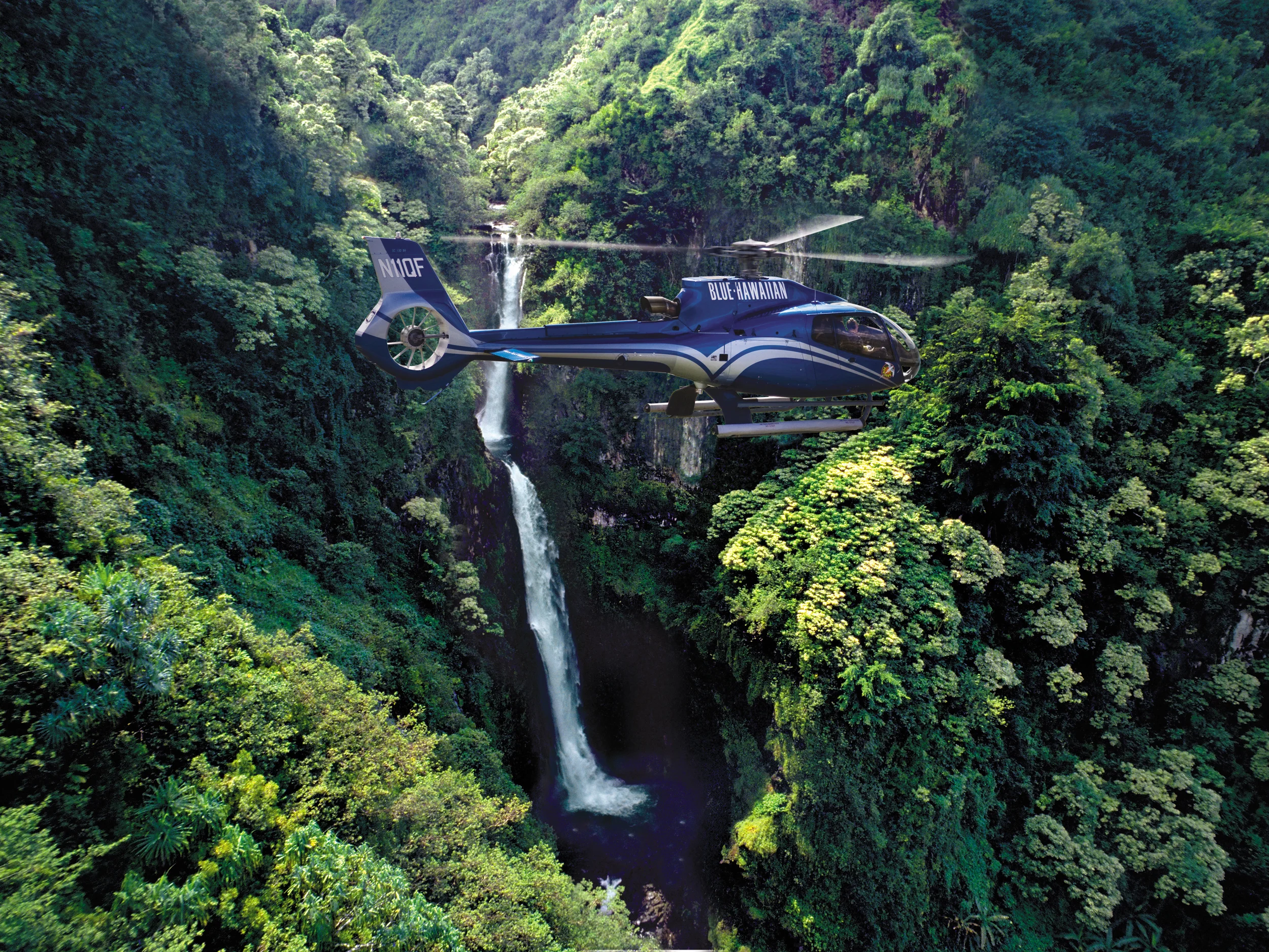Blue-Heli-hanawi-falls-2011.jpg