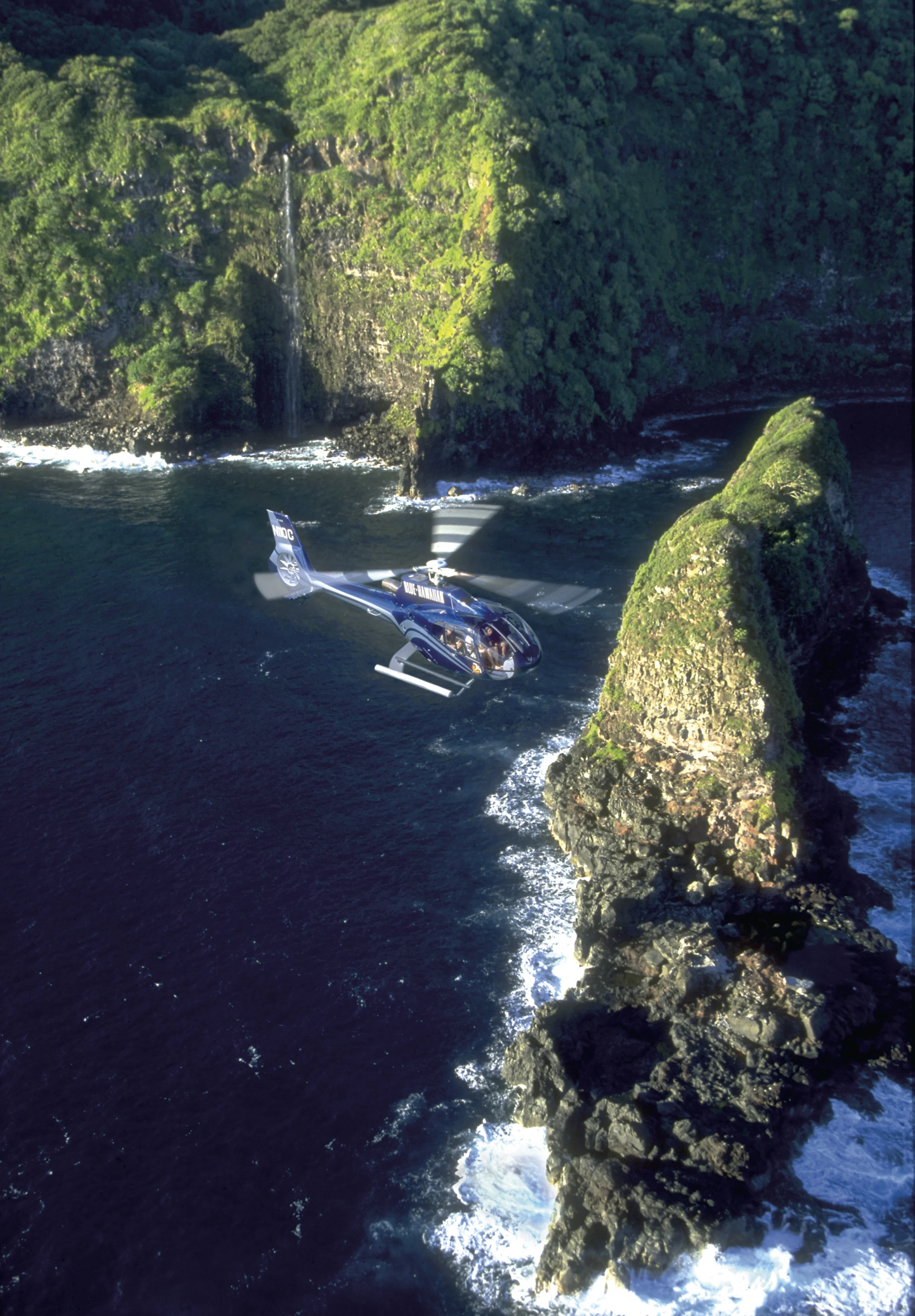 Maui-Jurassic-PressKitHirez.jpg