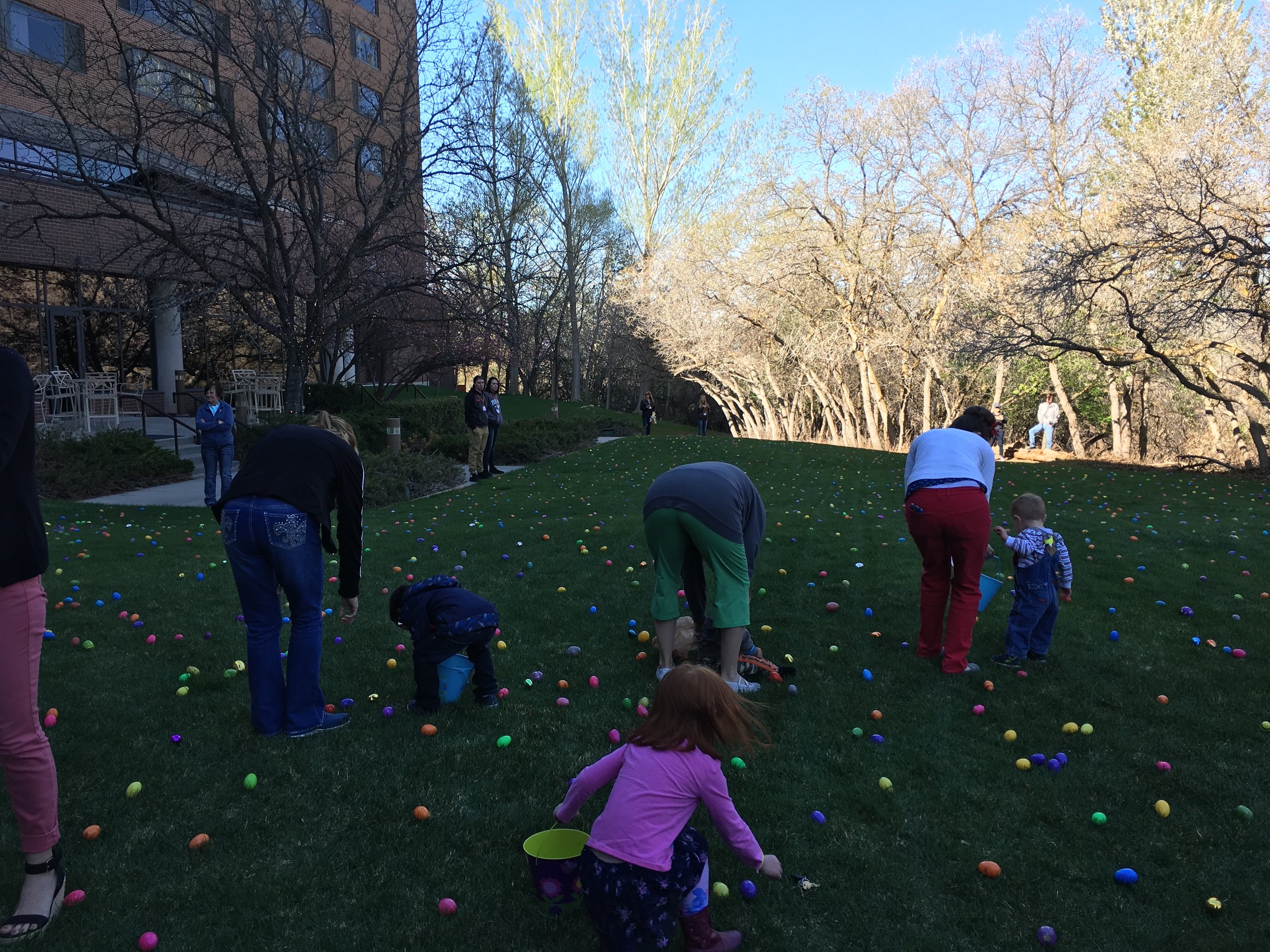 Down syndrome easter egg hunt.