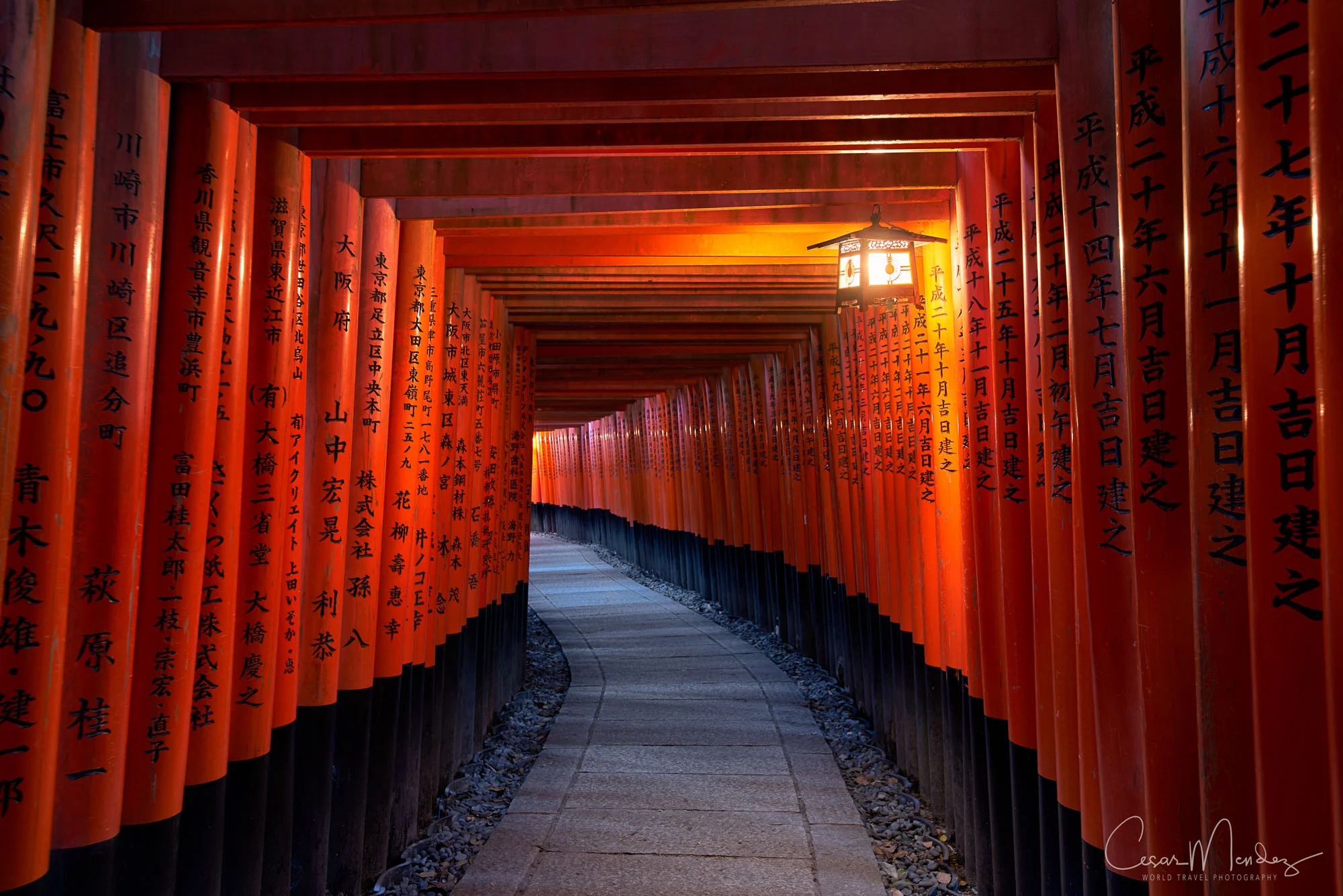 One Thoousand Vermillion Torii Gates