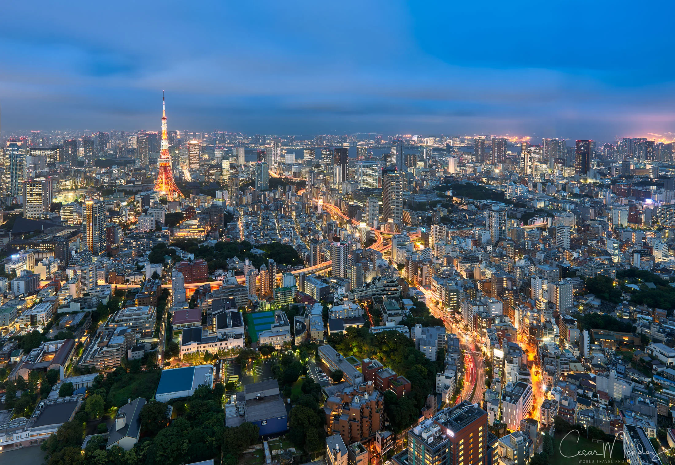 Tokyo Skyline, Japan