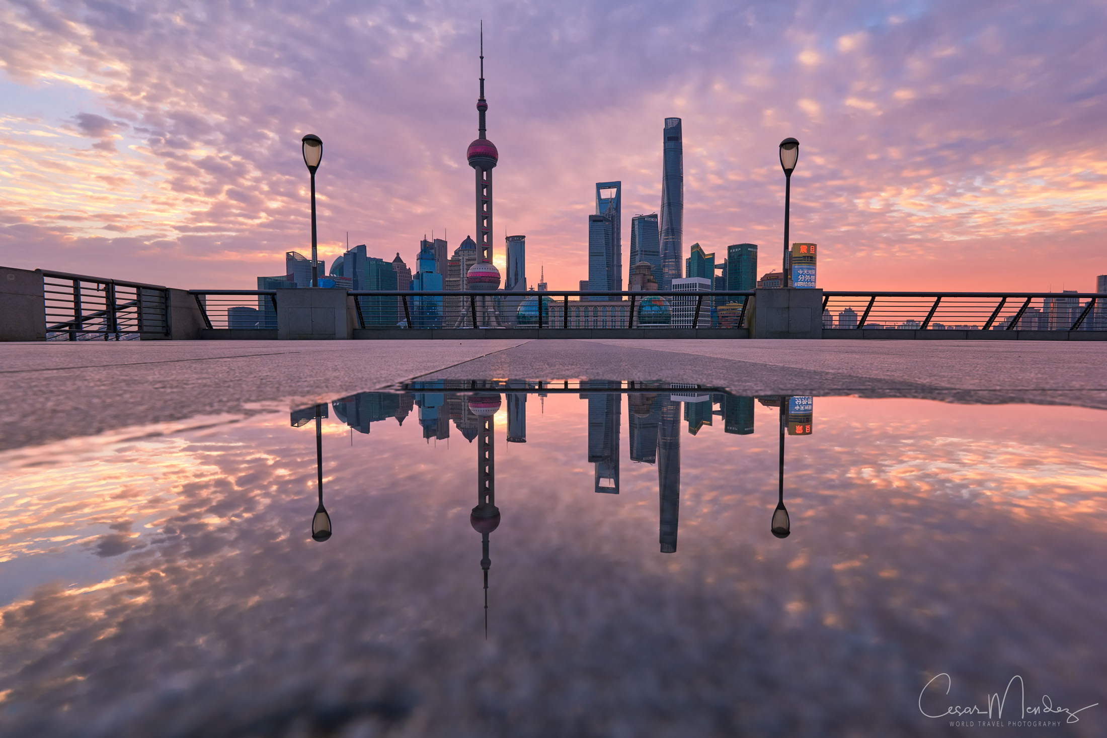 Shanghai Reflections