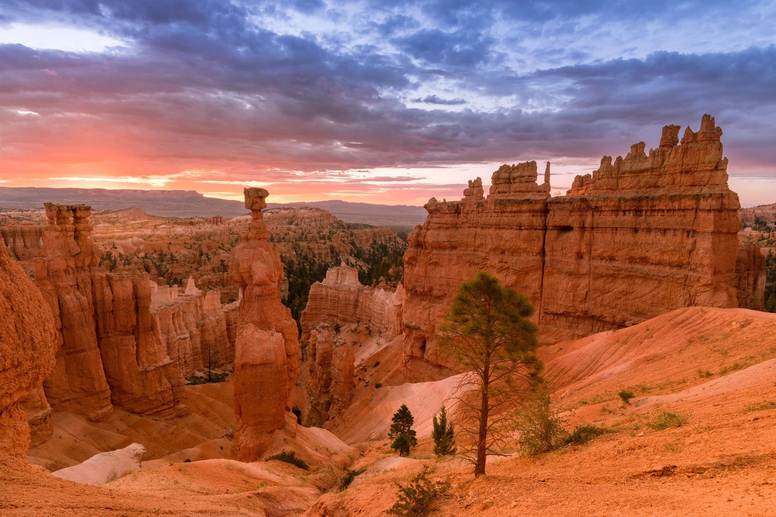 Bryce Cayon, Thor`s Hammer