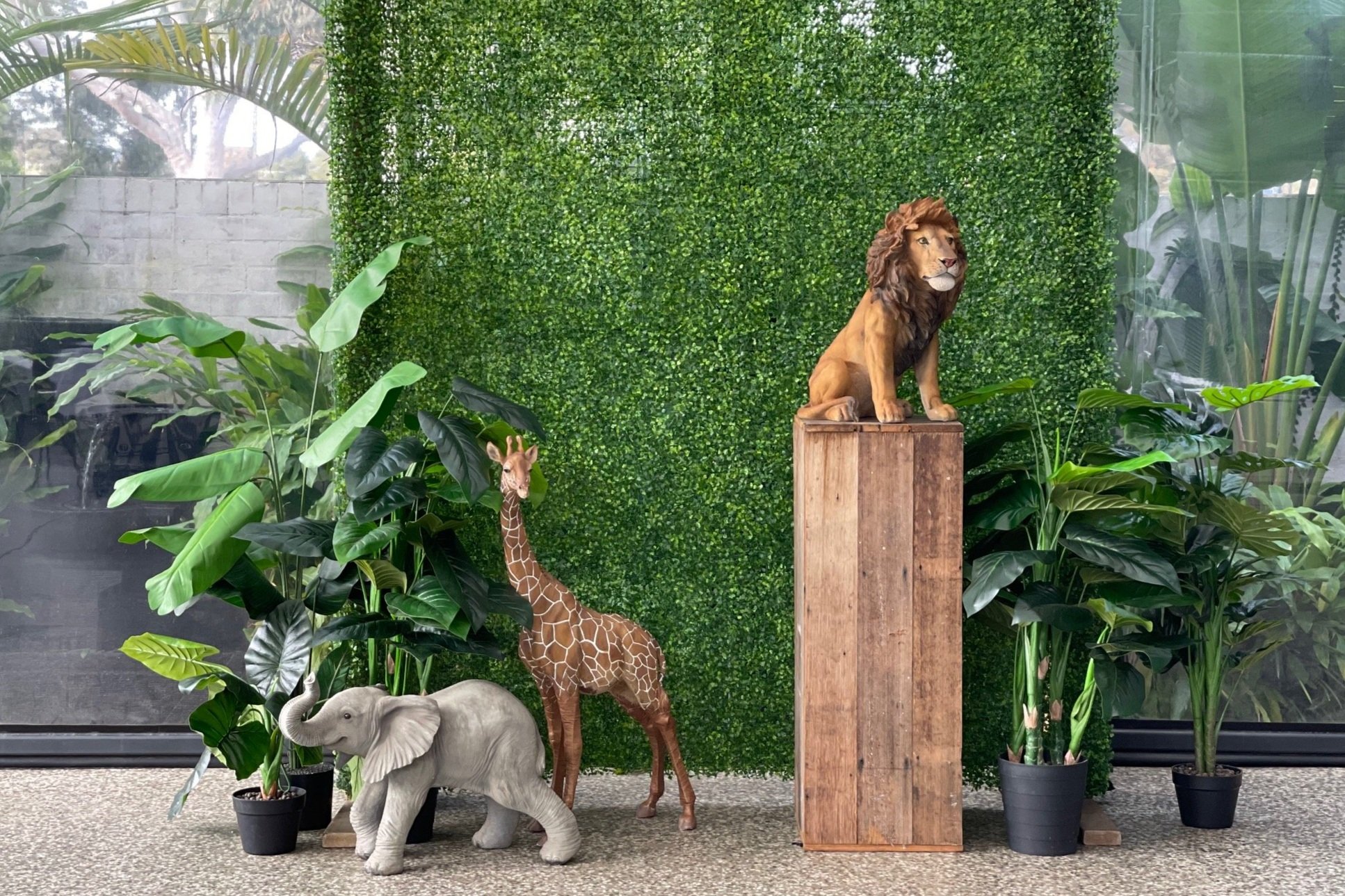 jungle.jpg