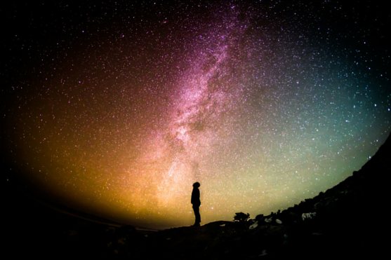 Unsplash/canva.com