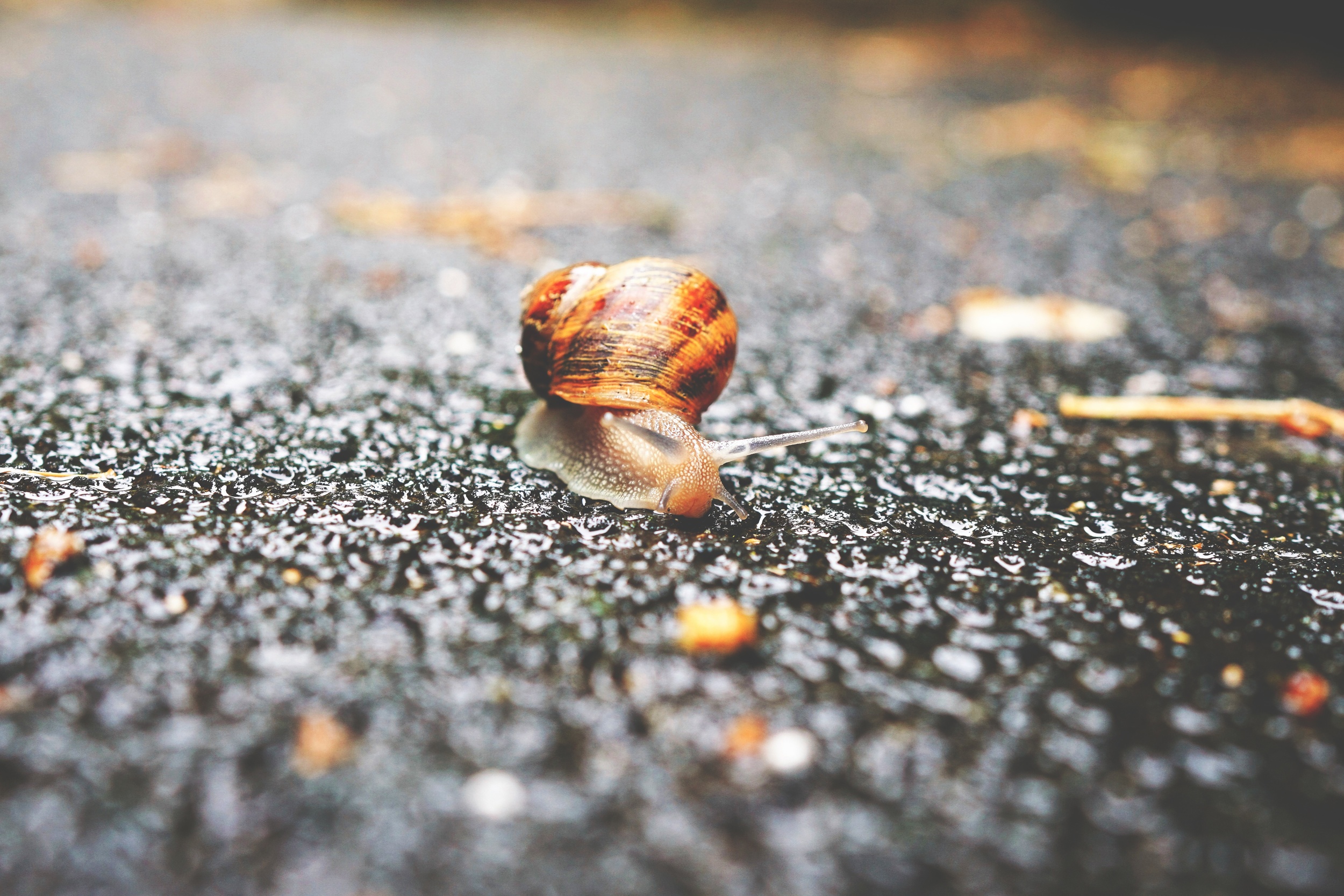 Erwan Hesry/unsplash.com