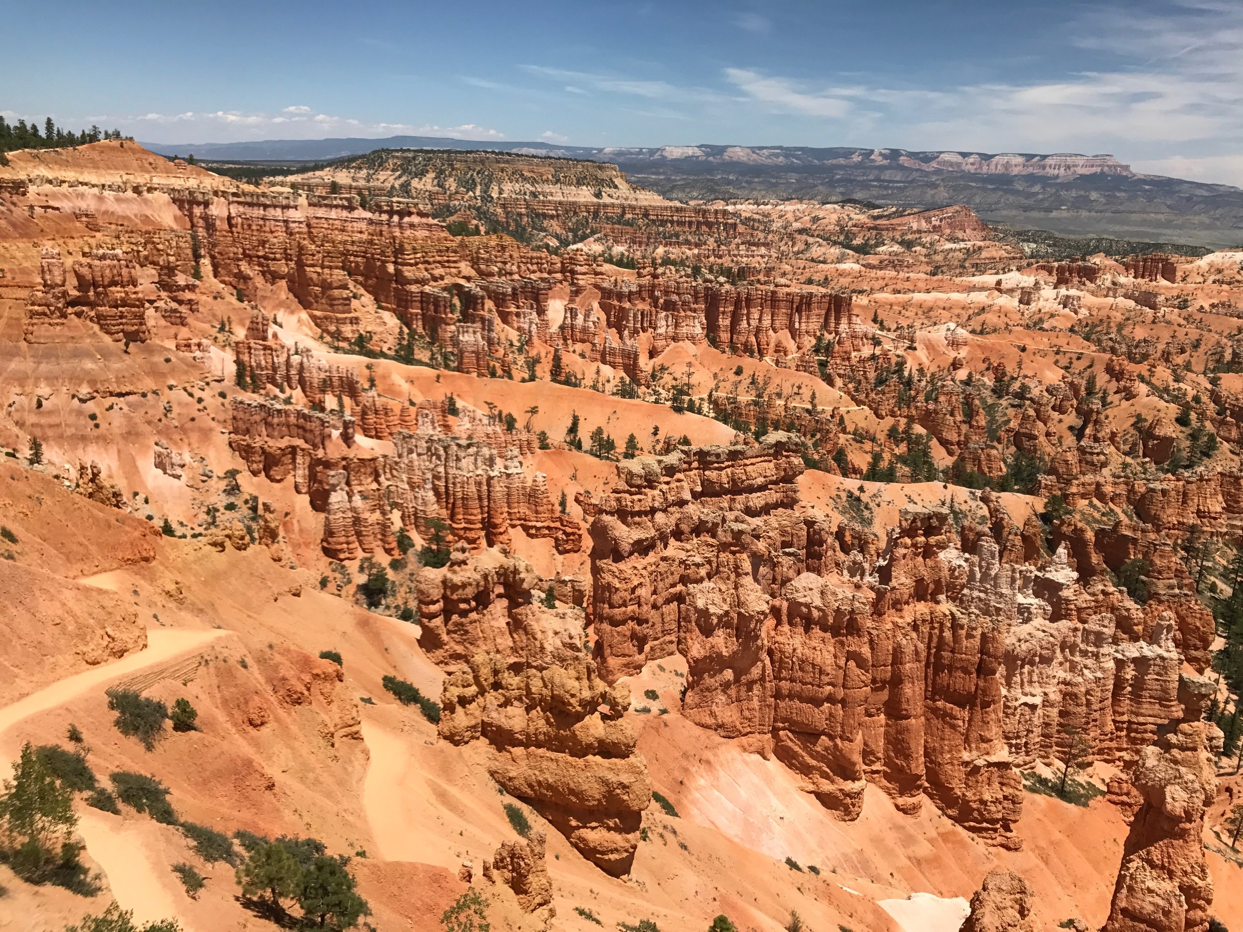 Bryce