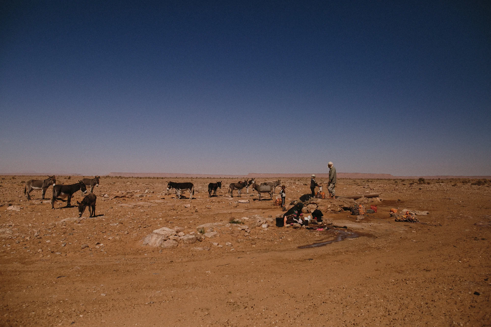 AF019693.jpg