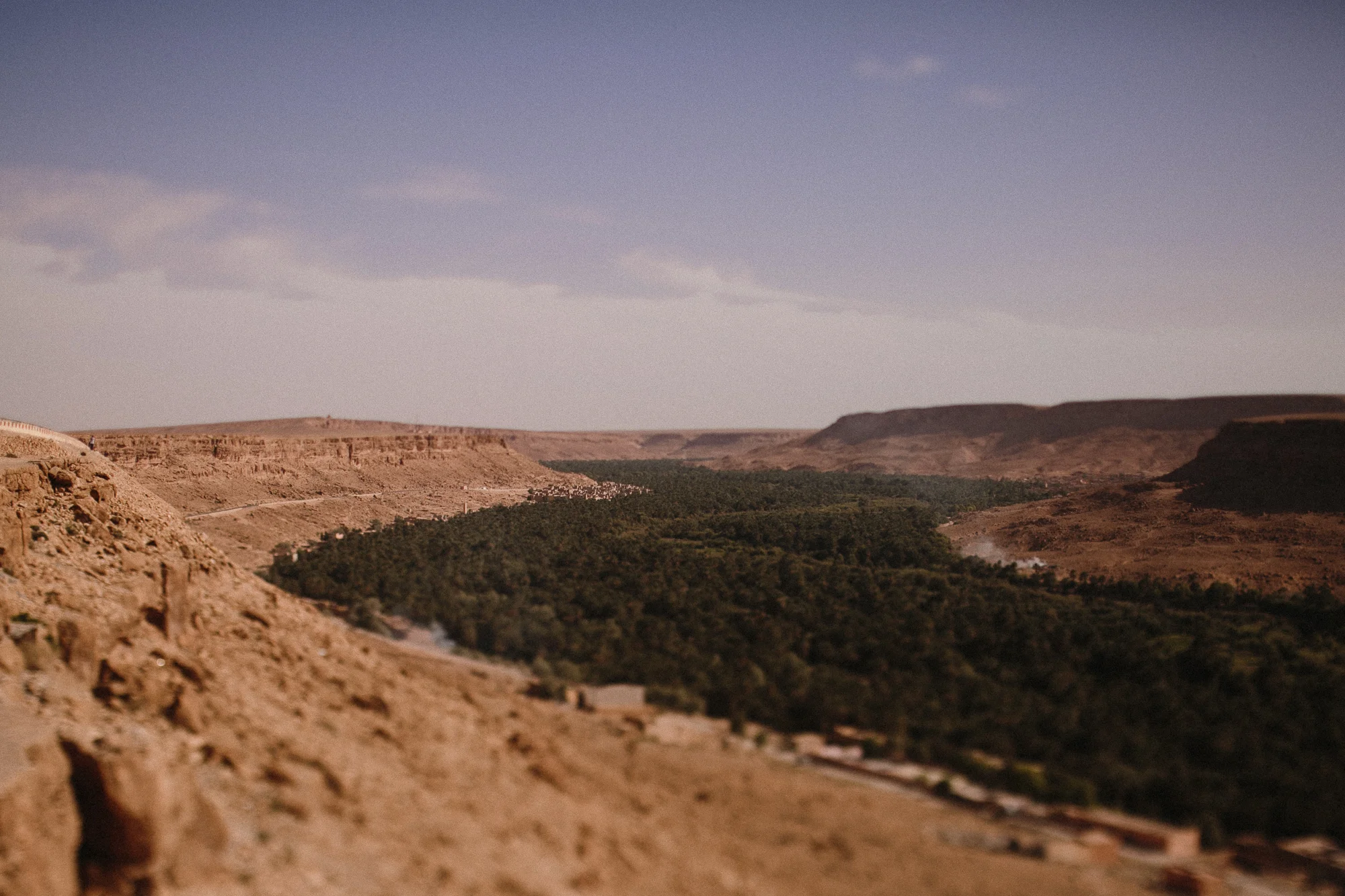 AF010457.jpg