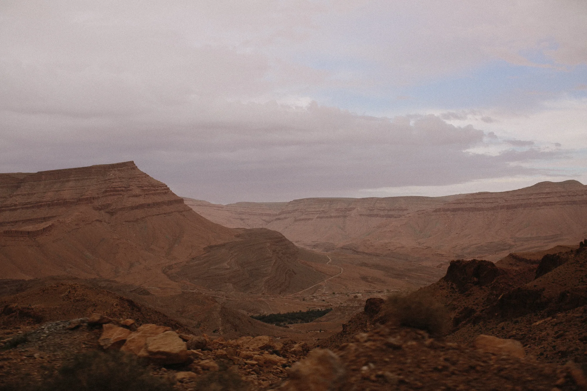 AF010557.jpg