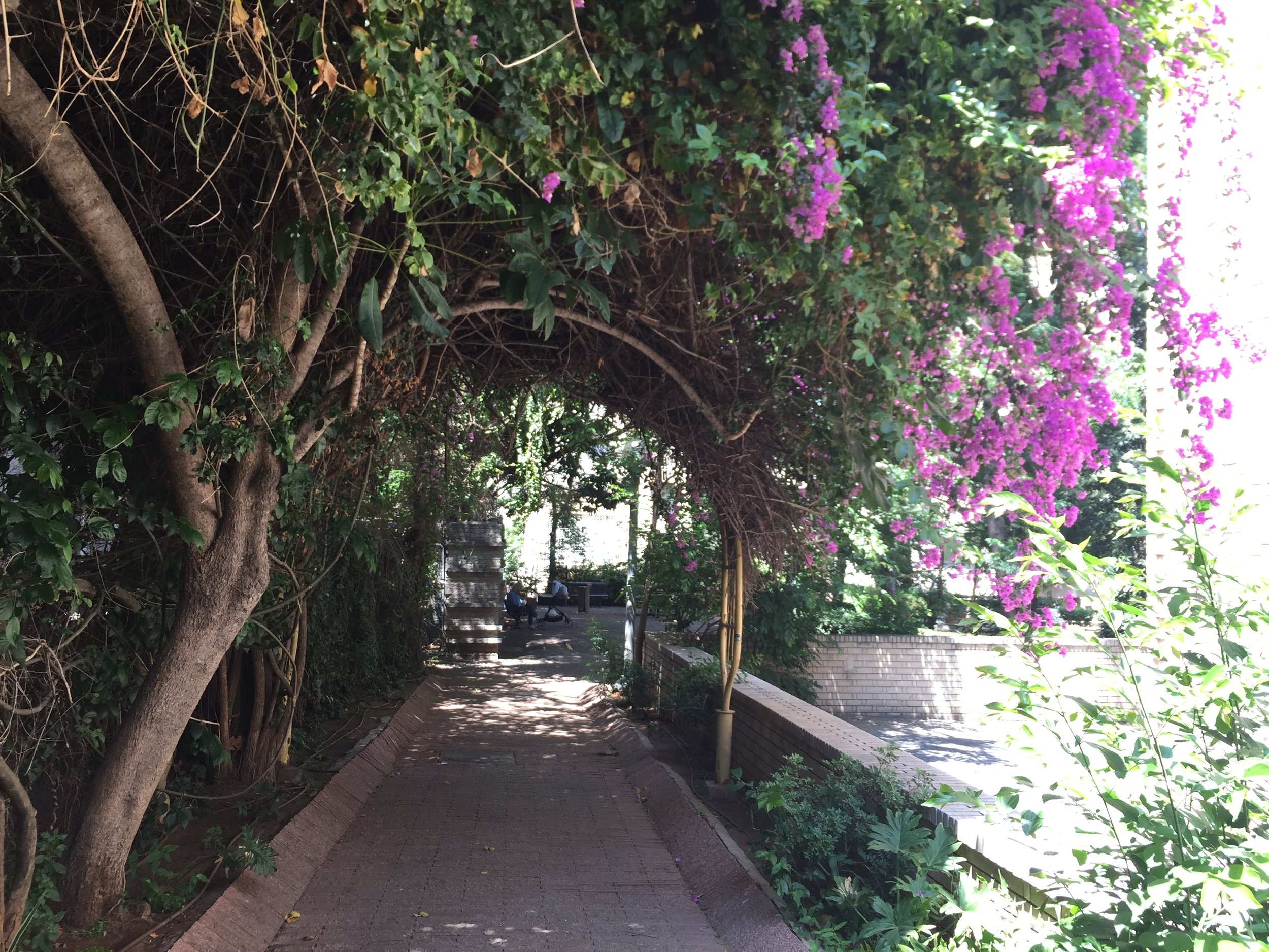 הגינות הסודיות