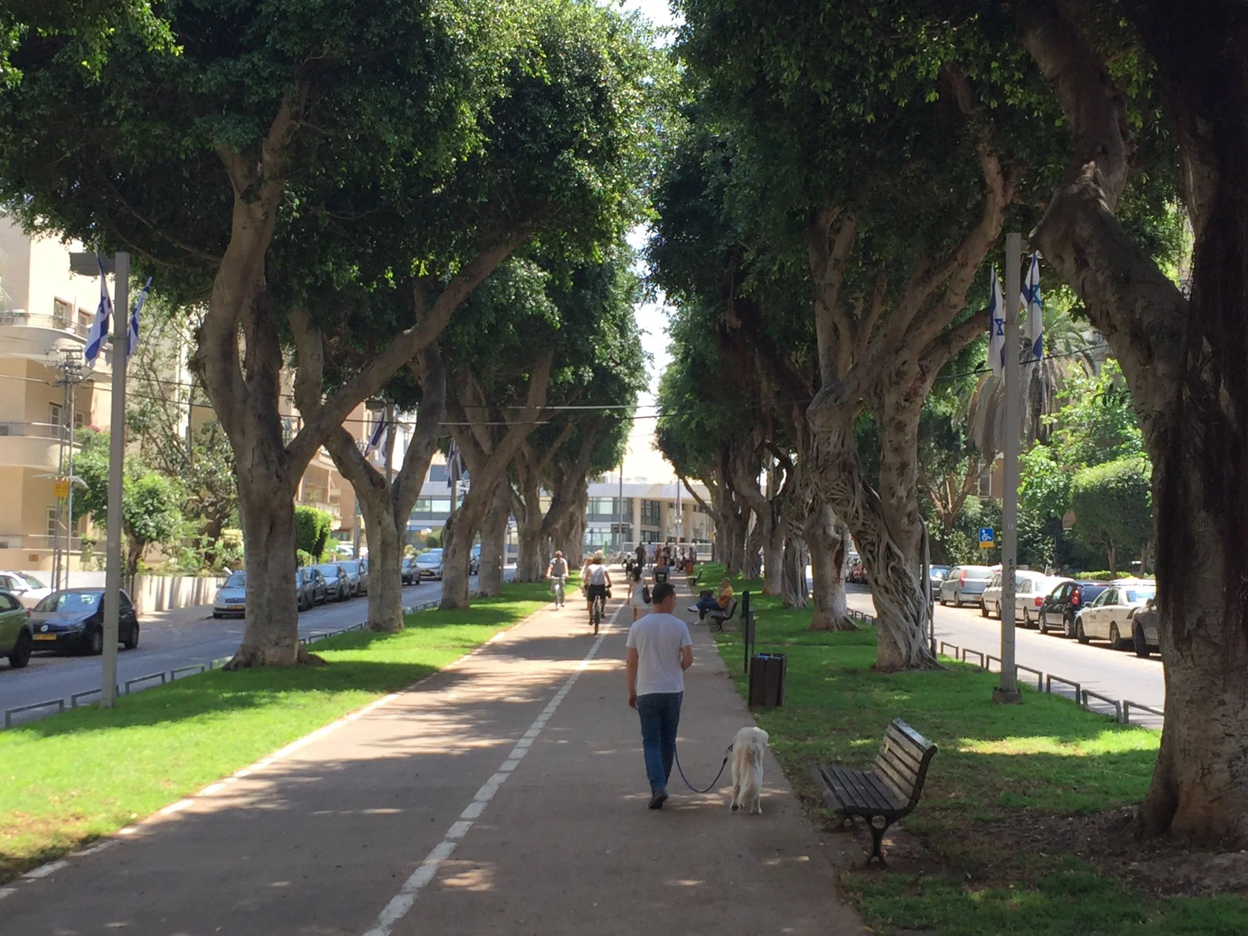 ממלון סינמה לכיכר הבימה