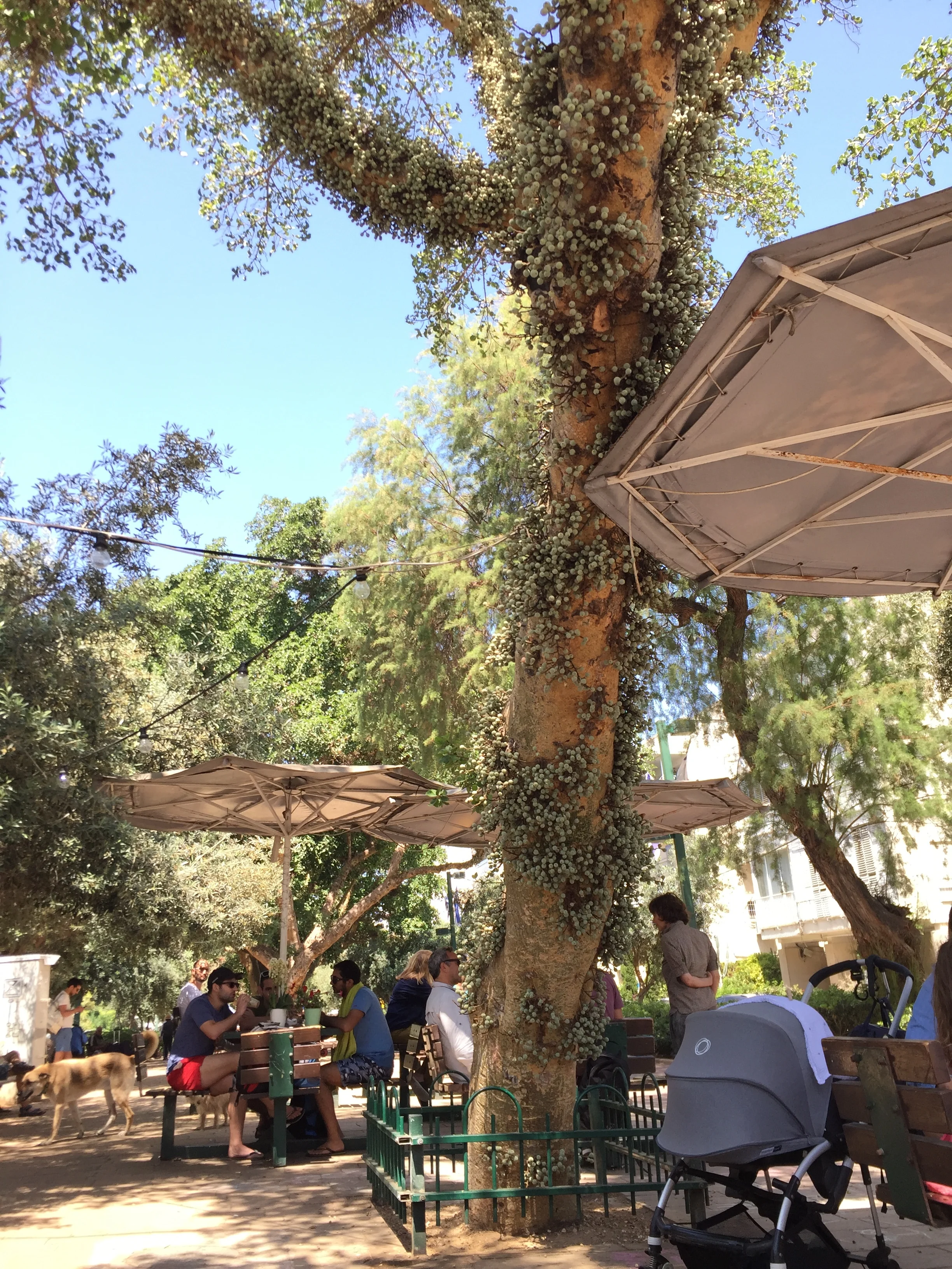 מכיכר רבין לכיכר אתרים