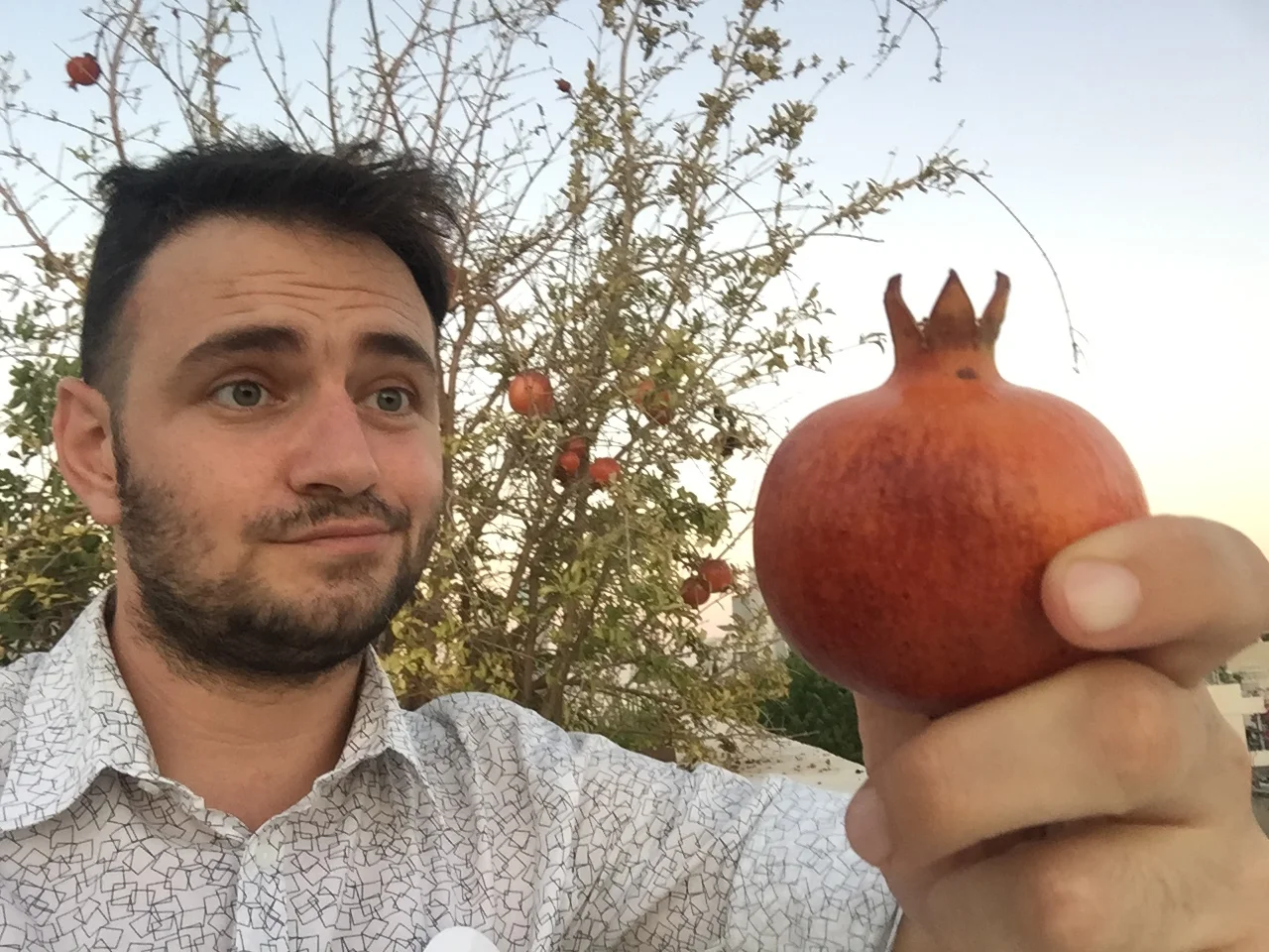 שנה טובה והזמנה