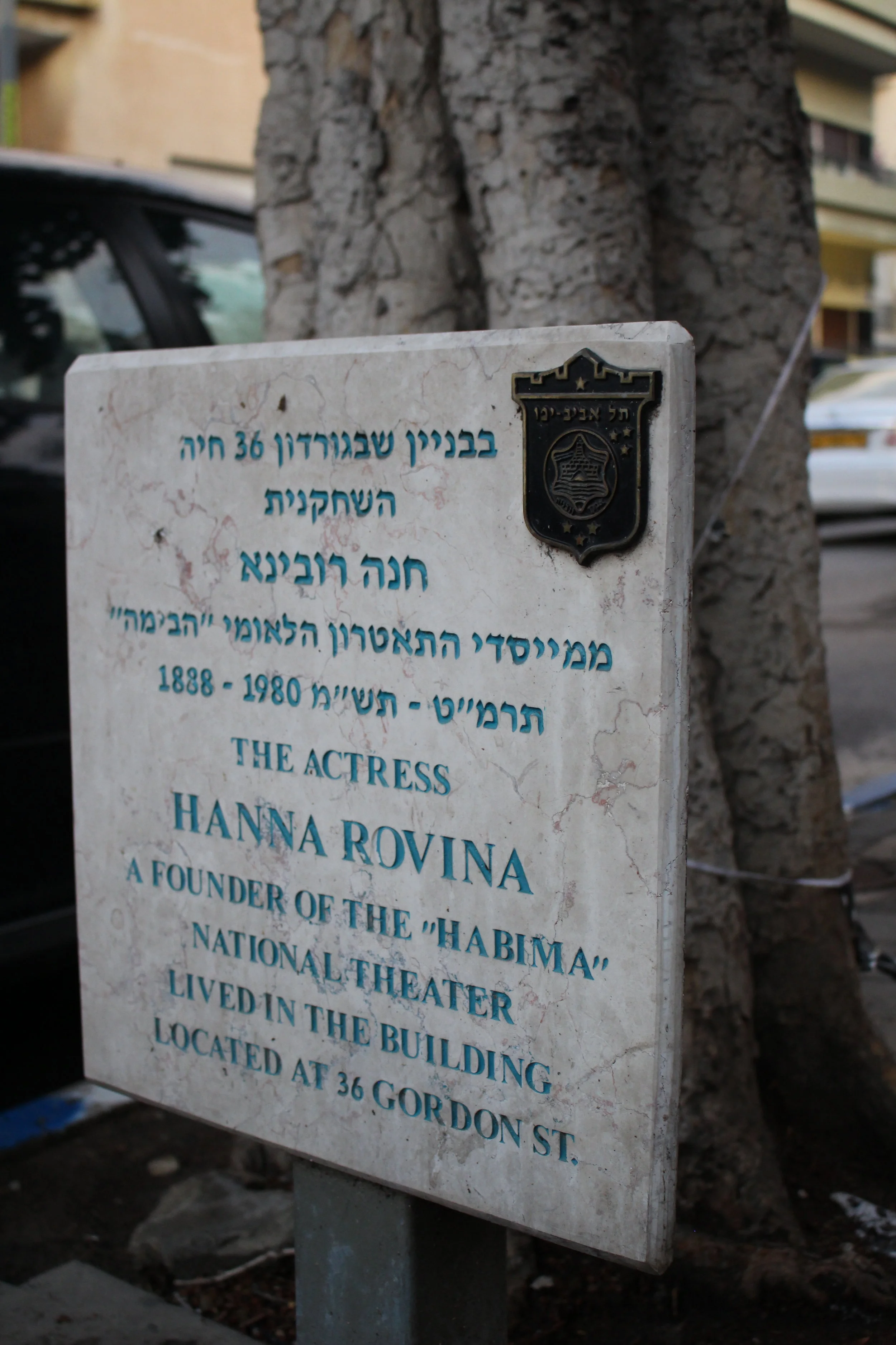 השמות שכולנו מכירים