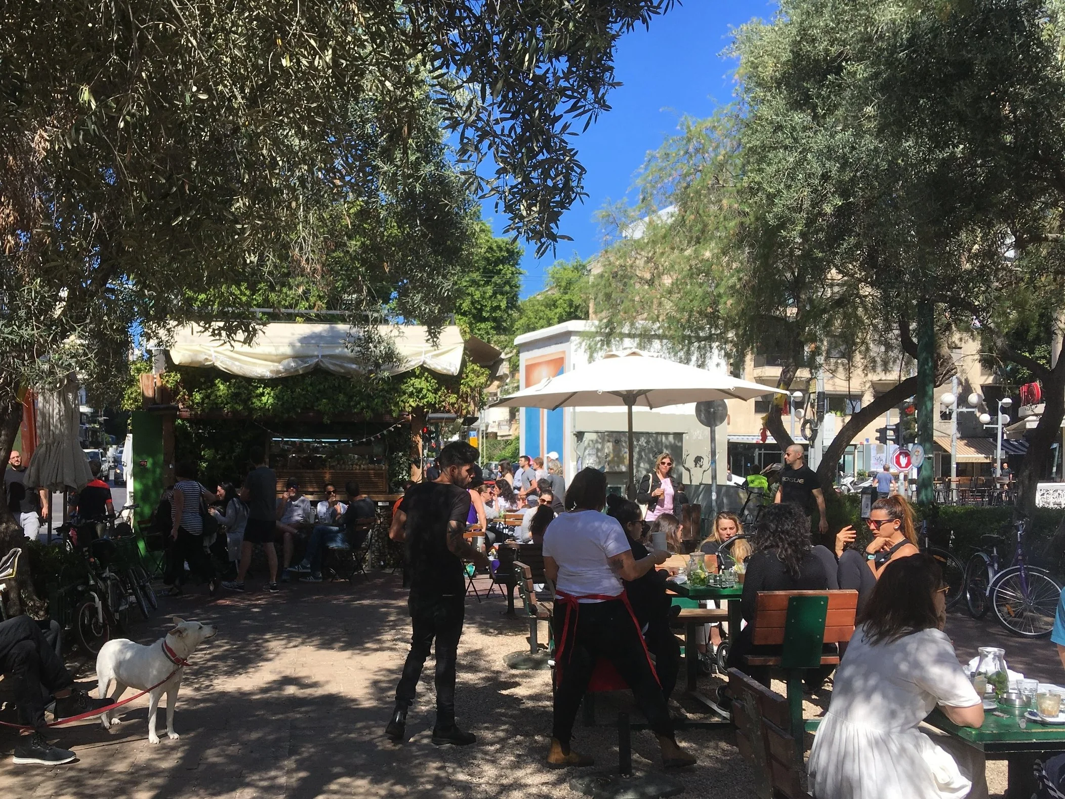 קיוסק בשדרות בן-גוריון