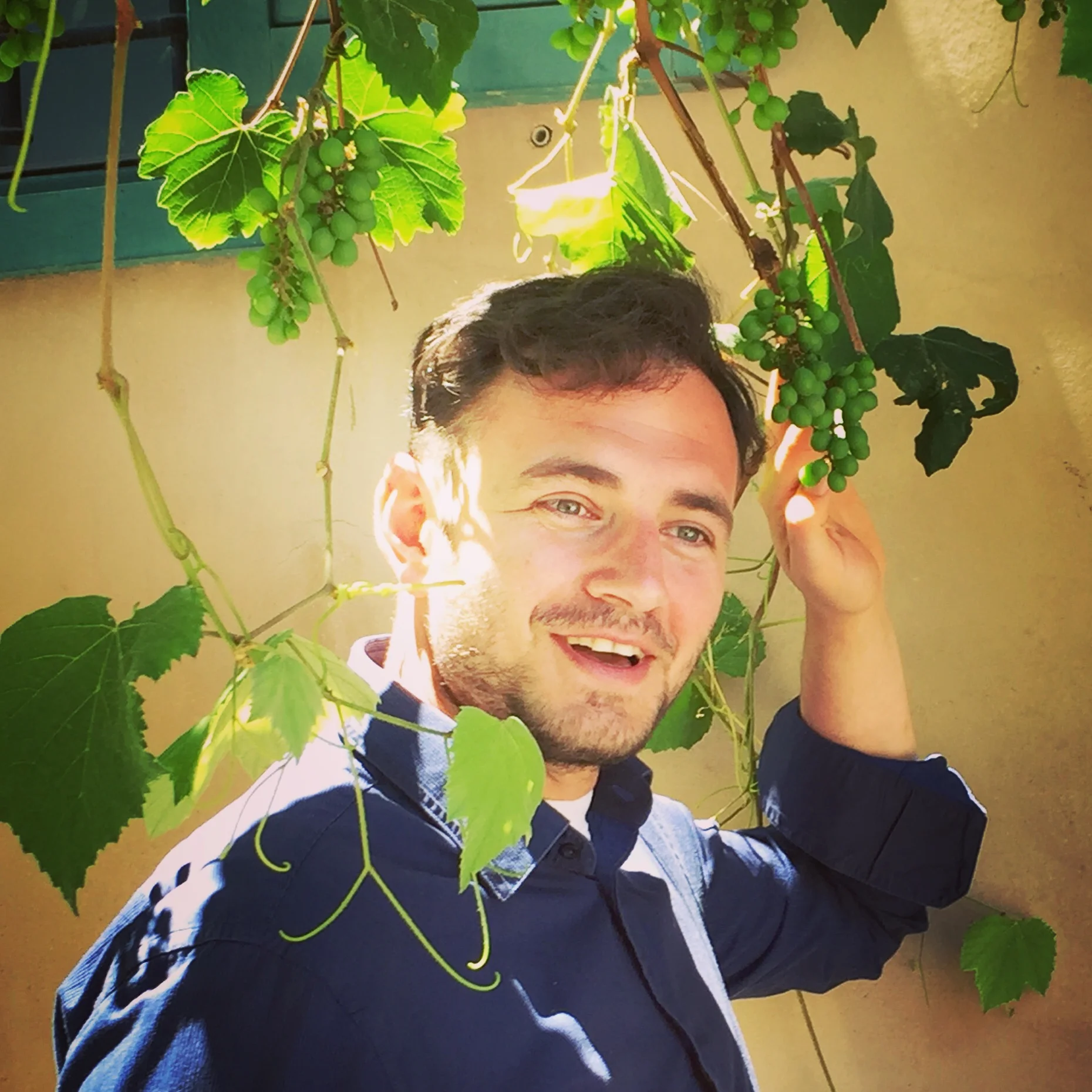 tomer (17).JPG