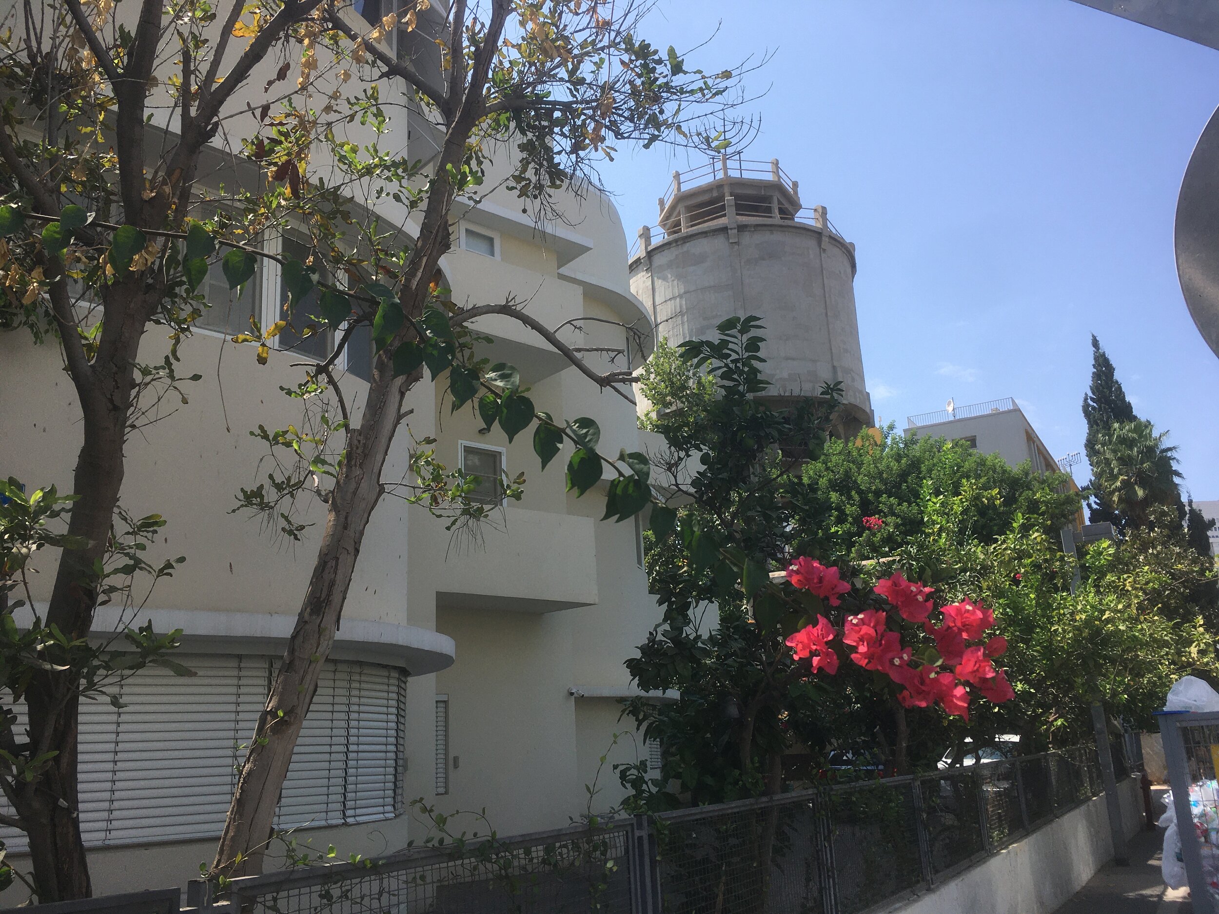 חפשו את החנוכיות