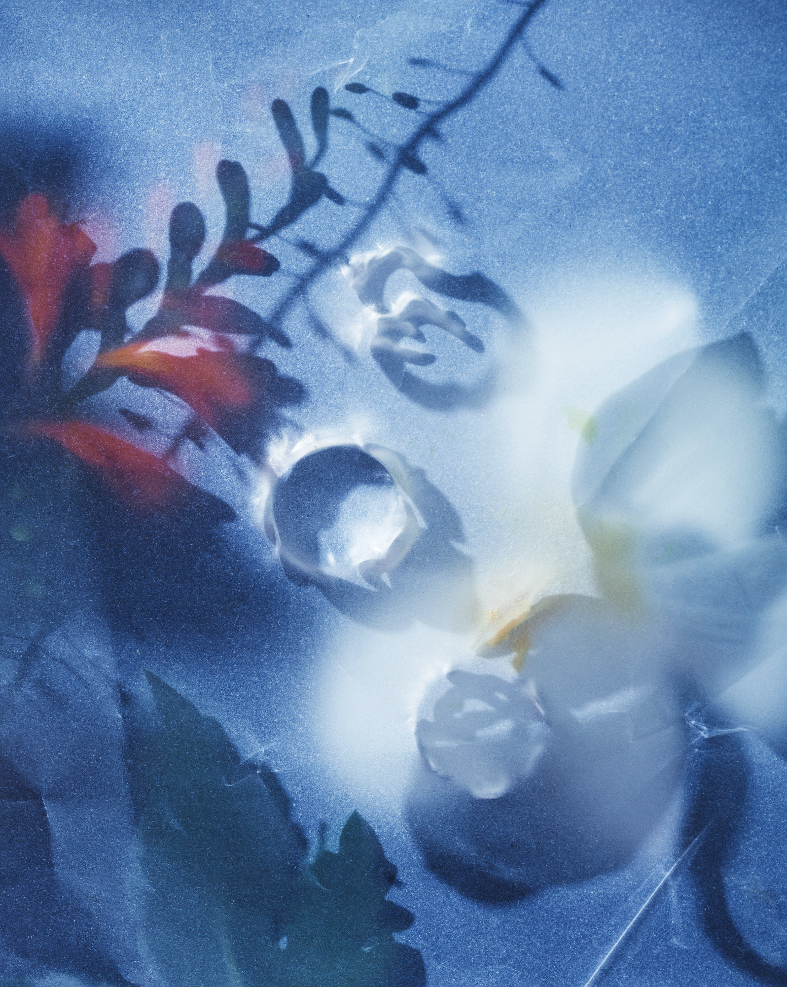  Photography © Alice Pacher Set design : Pauline Furman 