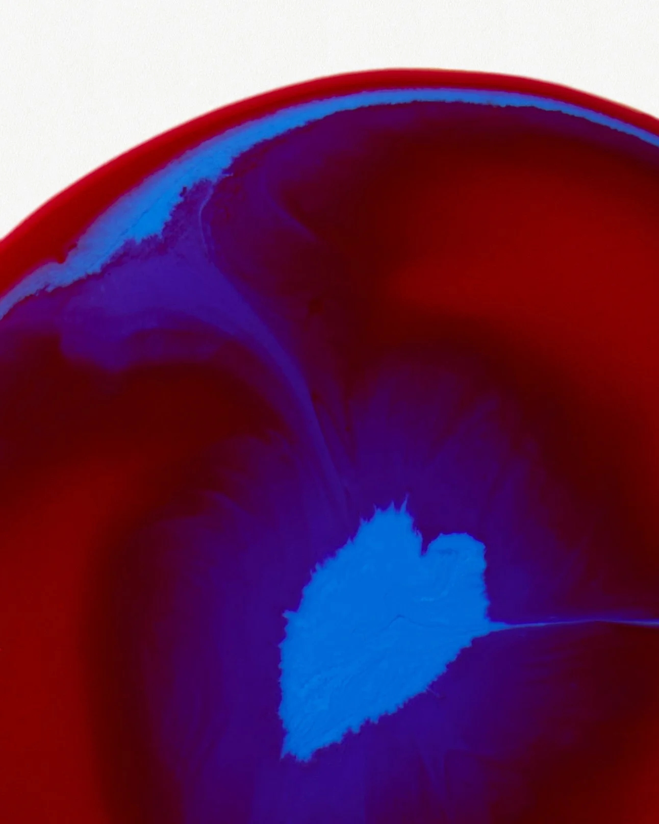  Photography © Alice Pacher AD &amp; Set design : Pauline Furman 