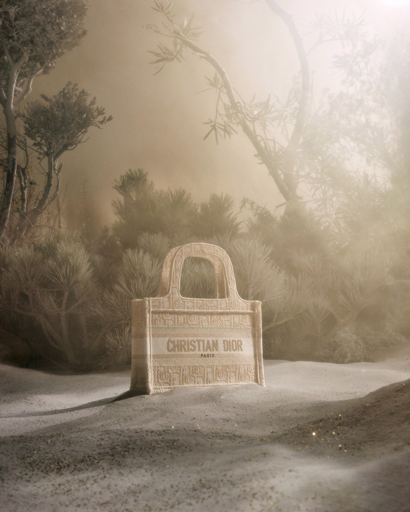  Photography © Assaf Matarasso Set design : Pauline Furman  For Dior  