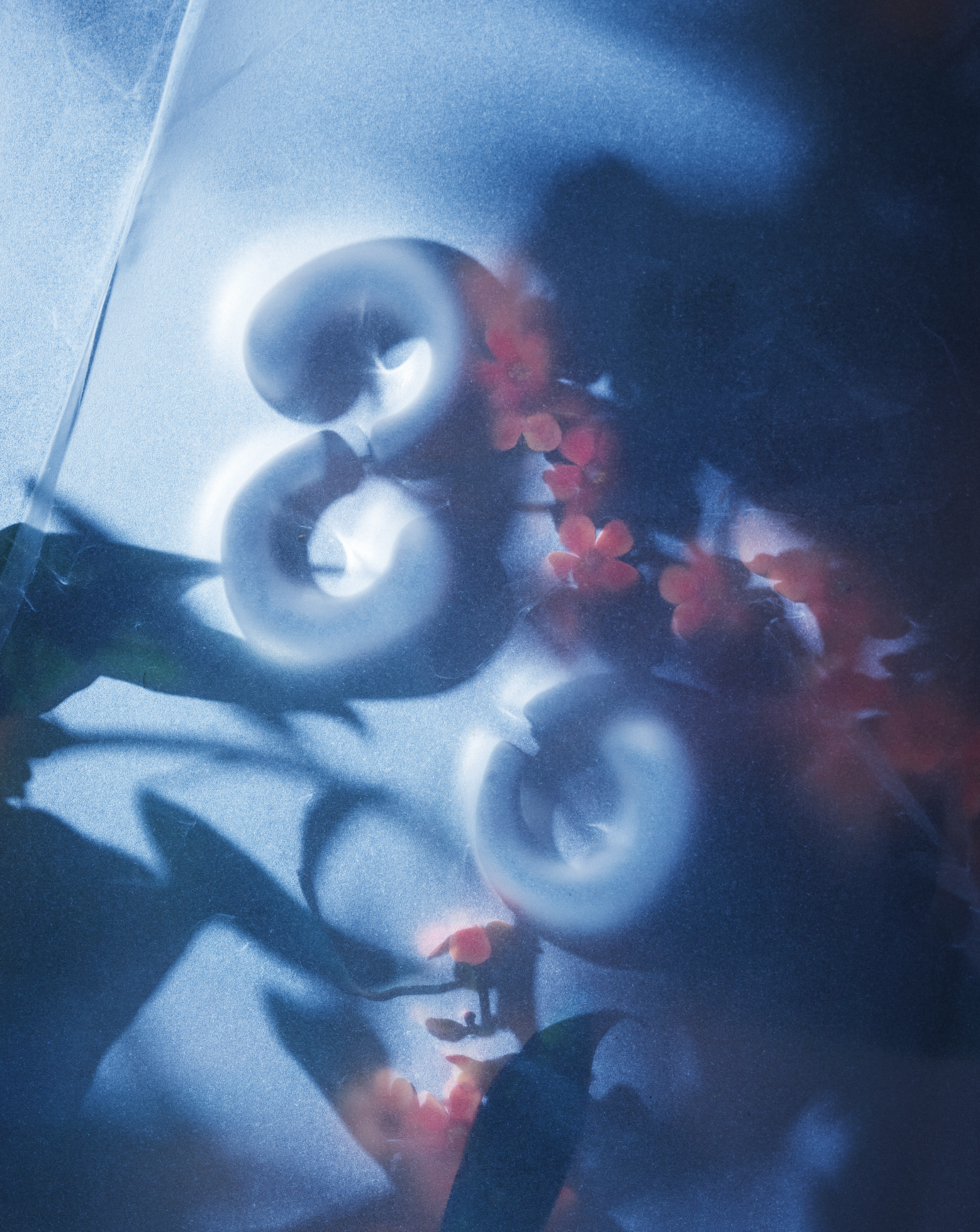  Photography © Alice Pacher Set design : Pauline Furman 