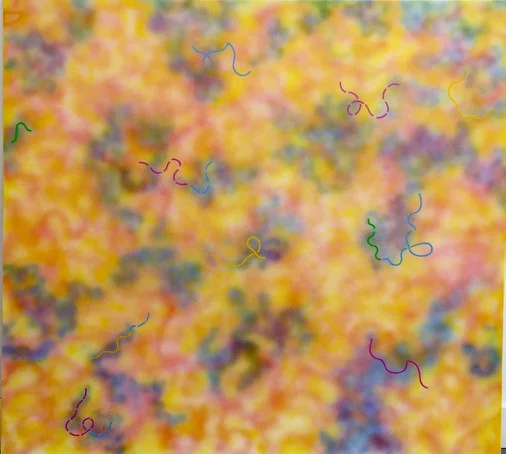 Untitled (June) 60 x 66in 2000.jpeg