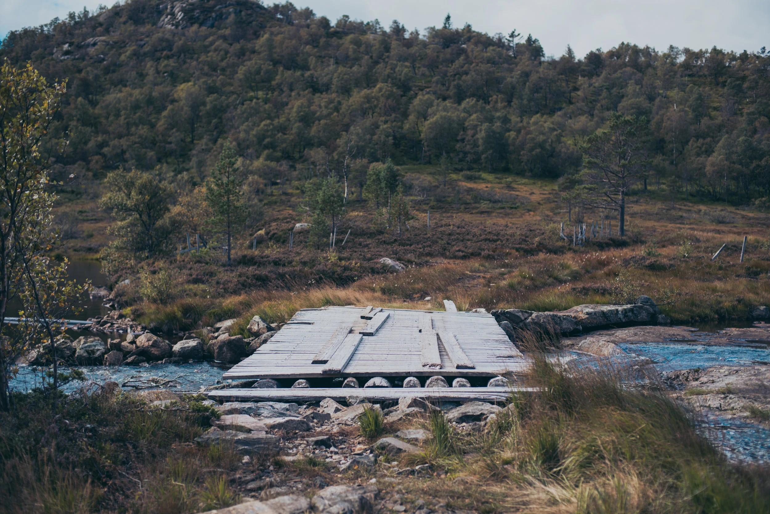 Norwegen-043.jpg