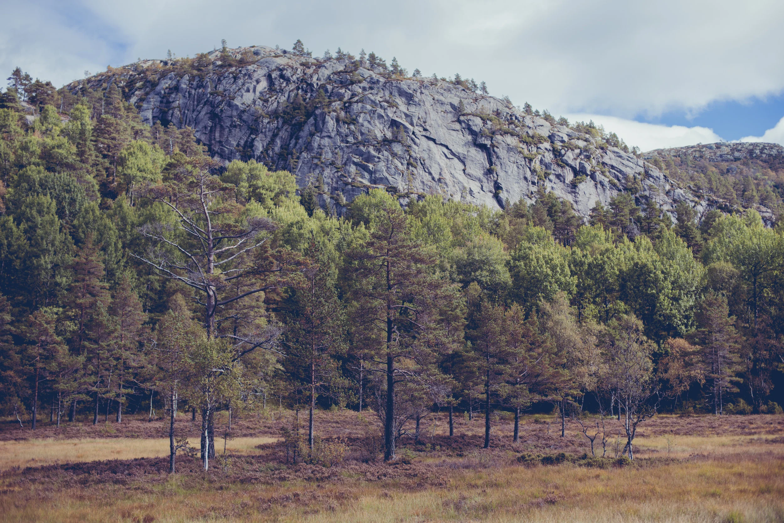 Norwegen-274.jpg