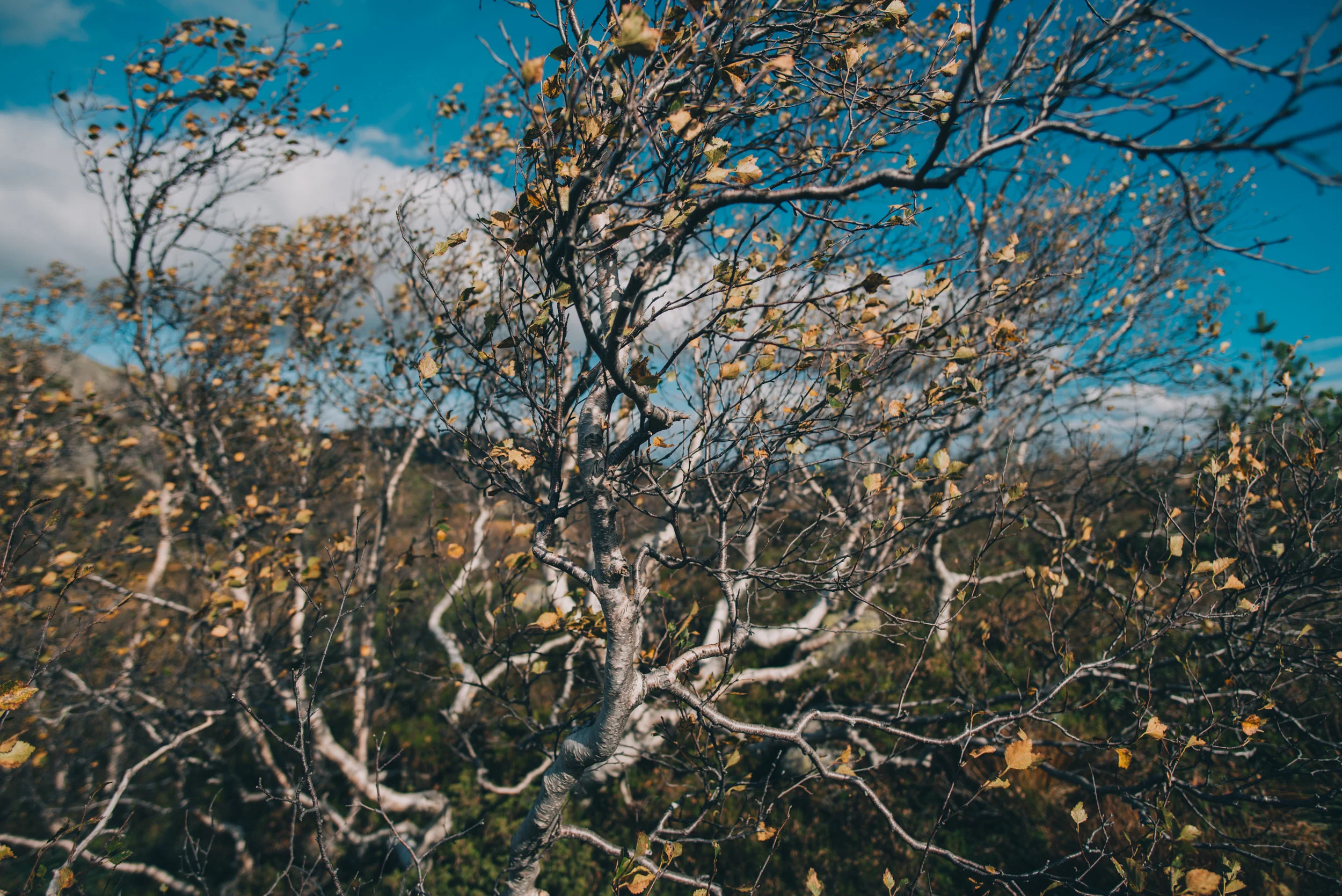 Norwegen-463.jpg