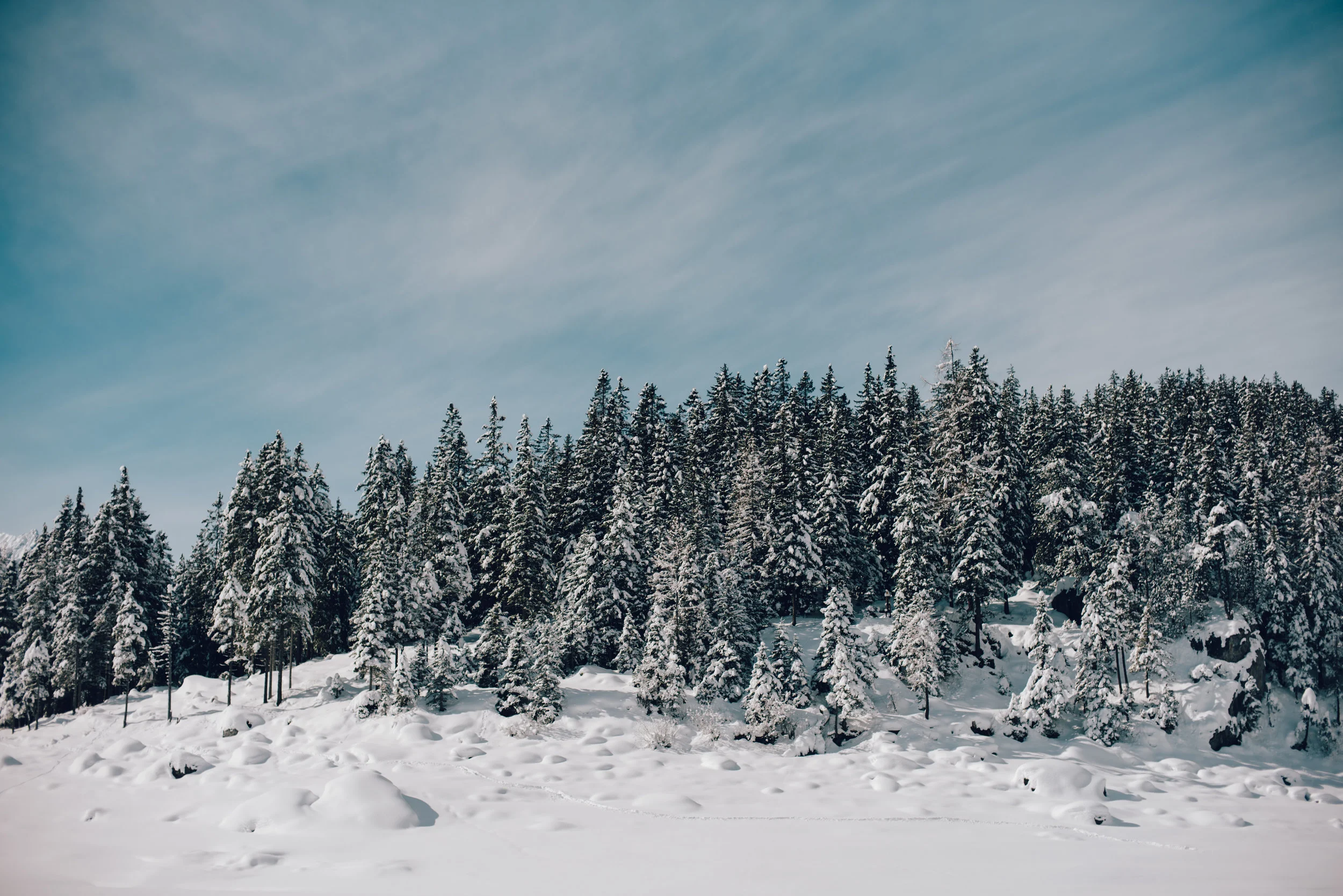 DSC_8270.jpg