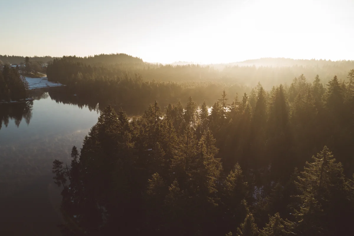 DJI_0080-2.jpg
