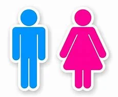 Gender Stereotypes.jpg