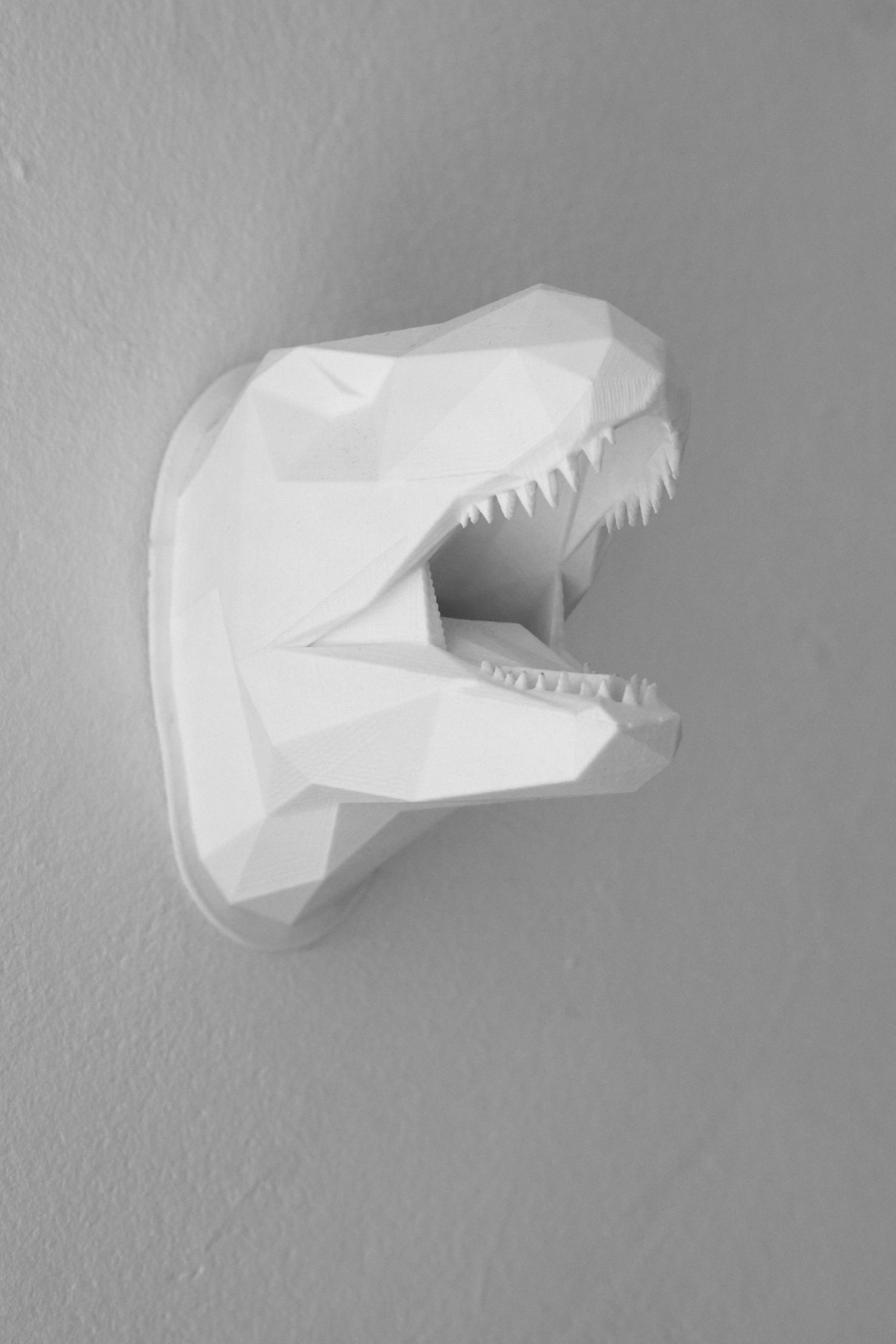 3D Printed_Faceted Rex Hanger_White_Wall_Space Junk_Alan Nguyen_2018.jpg