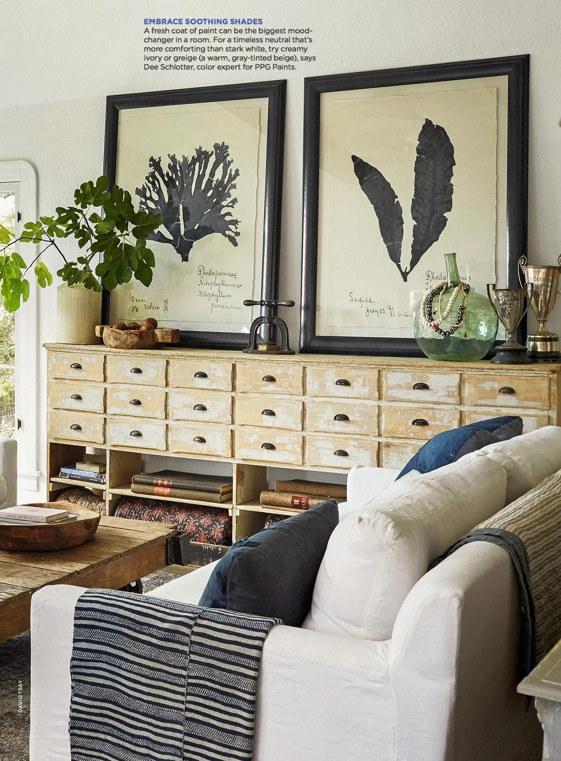 RBK Wellness Home 2.jpeg